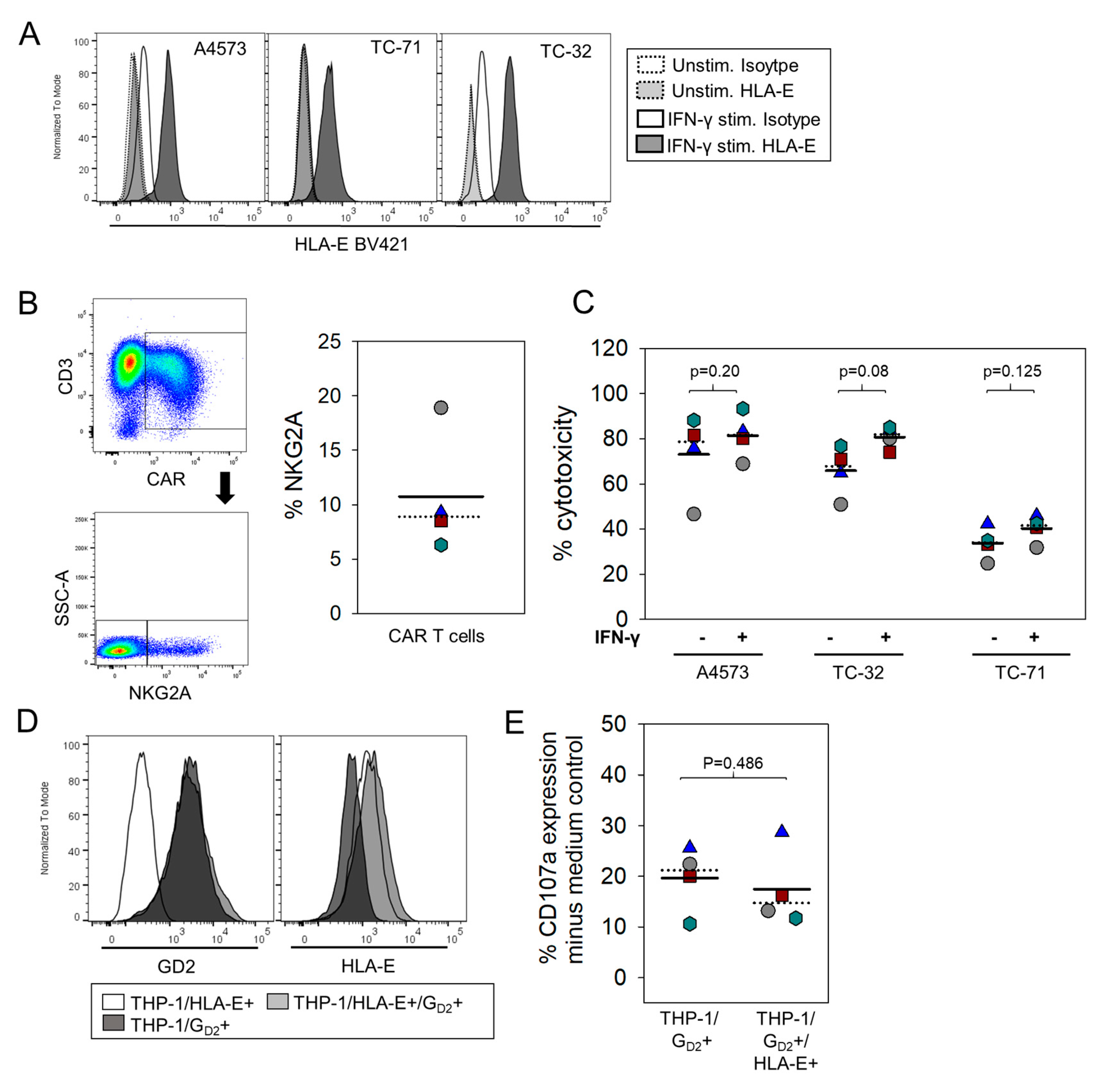 Cancers 13 02857 g005 Cancers 13 02857 g005