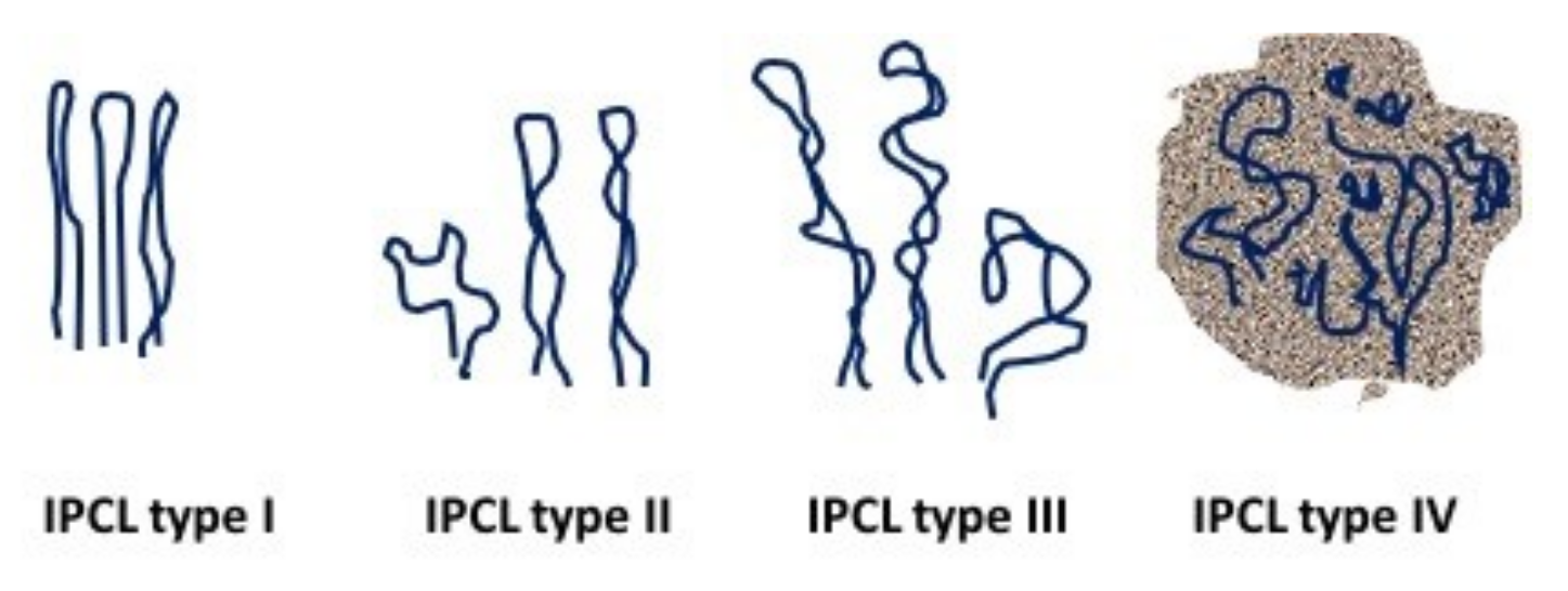 Cancers 13 02864 g003