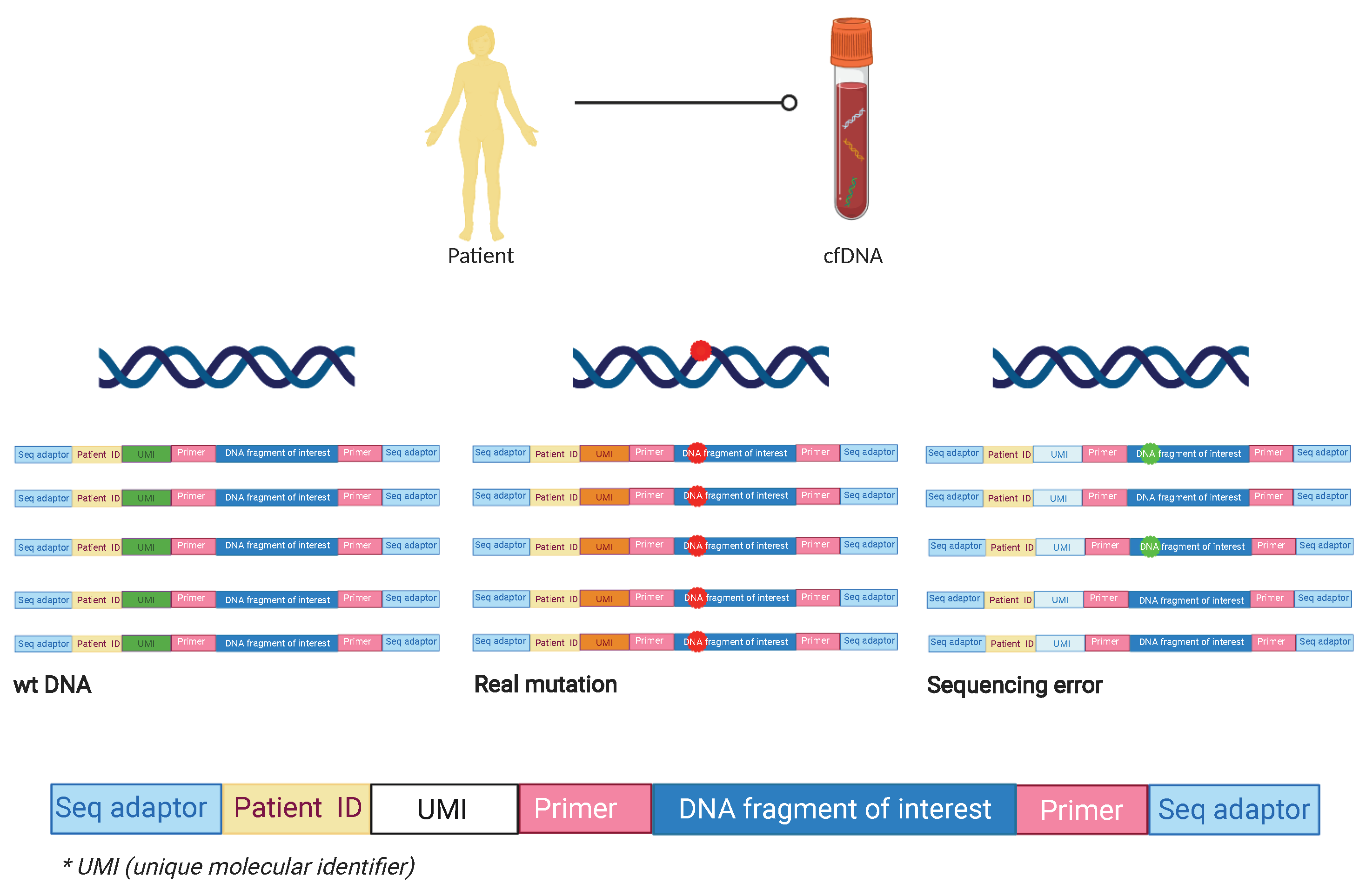 Cancers 13 02869 g001 Cancers 13 02869 g001
