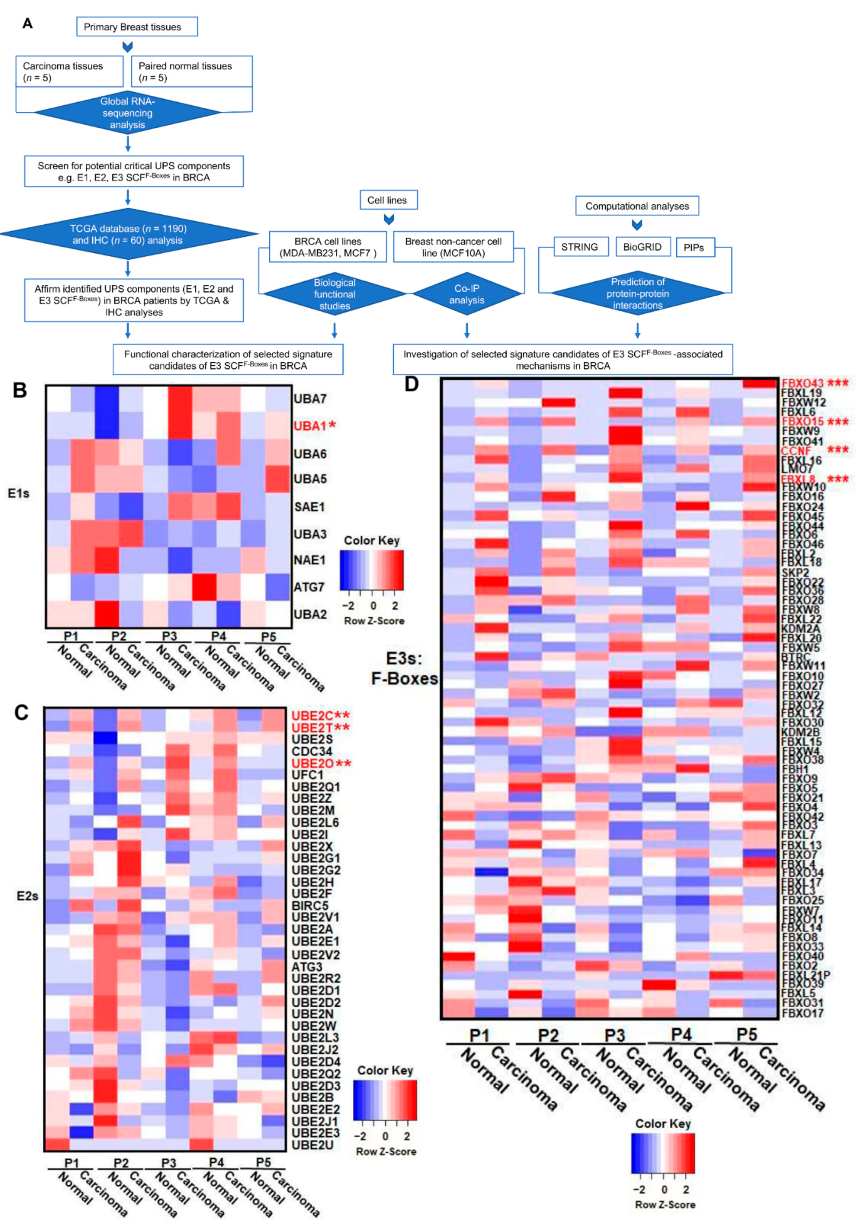 Cancers 13 02873 g001a Cancers 13 02873 g001a