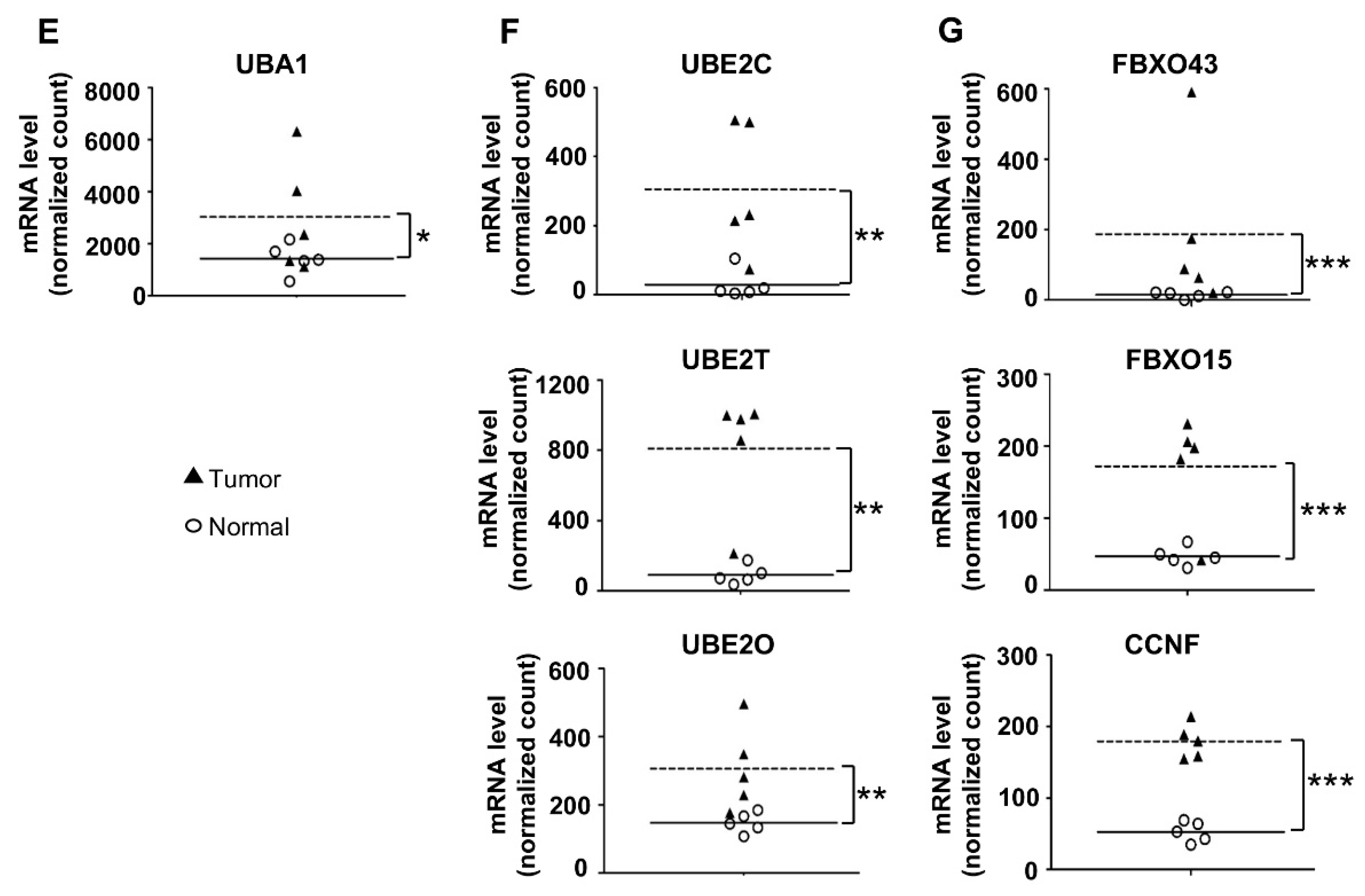 Cancers 13 02873 g001b Cancers 13 02873 g001b