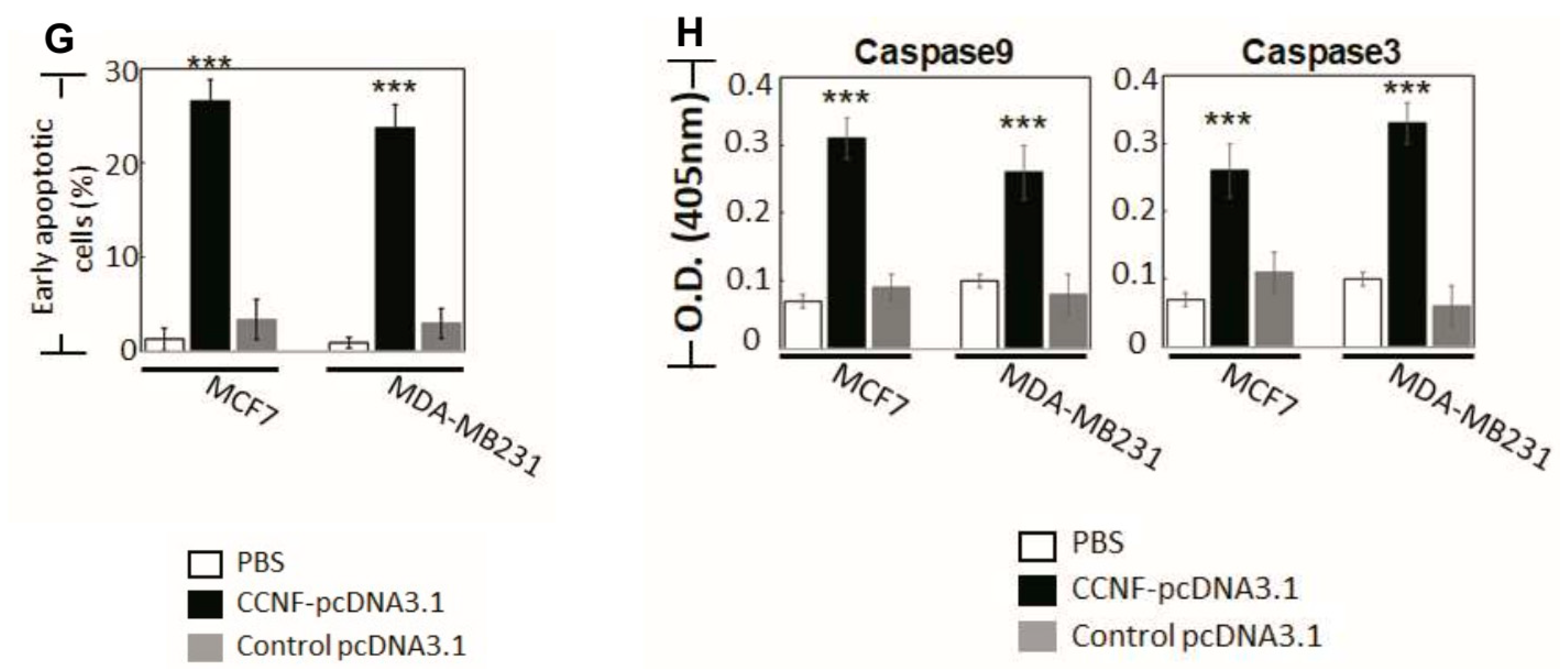 Cancers 13 02873 g003b Cancers 13 02873 g003b