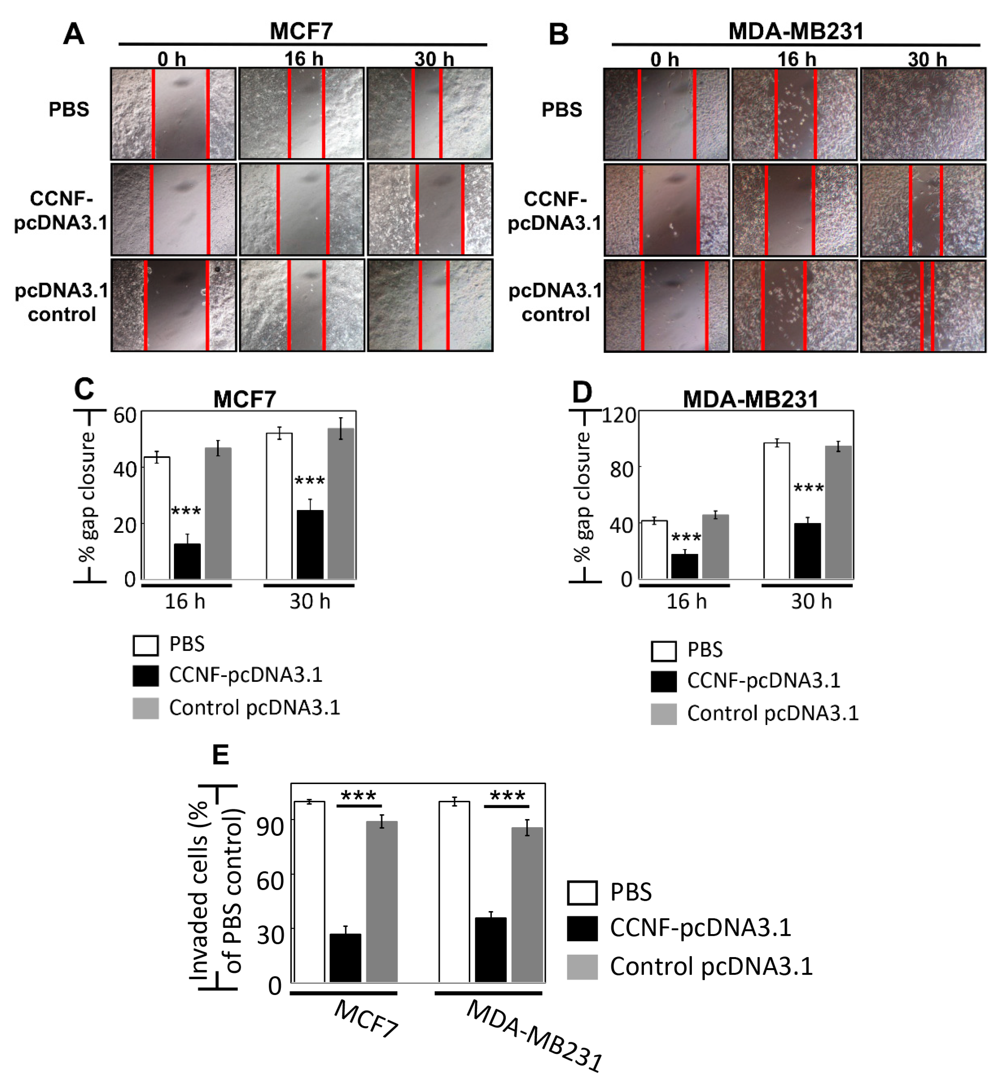 Cancers 13 02873 g004 Cancers 13 02873 g004