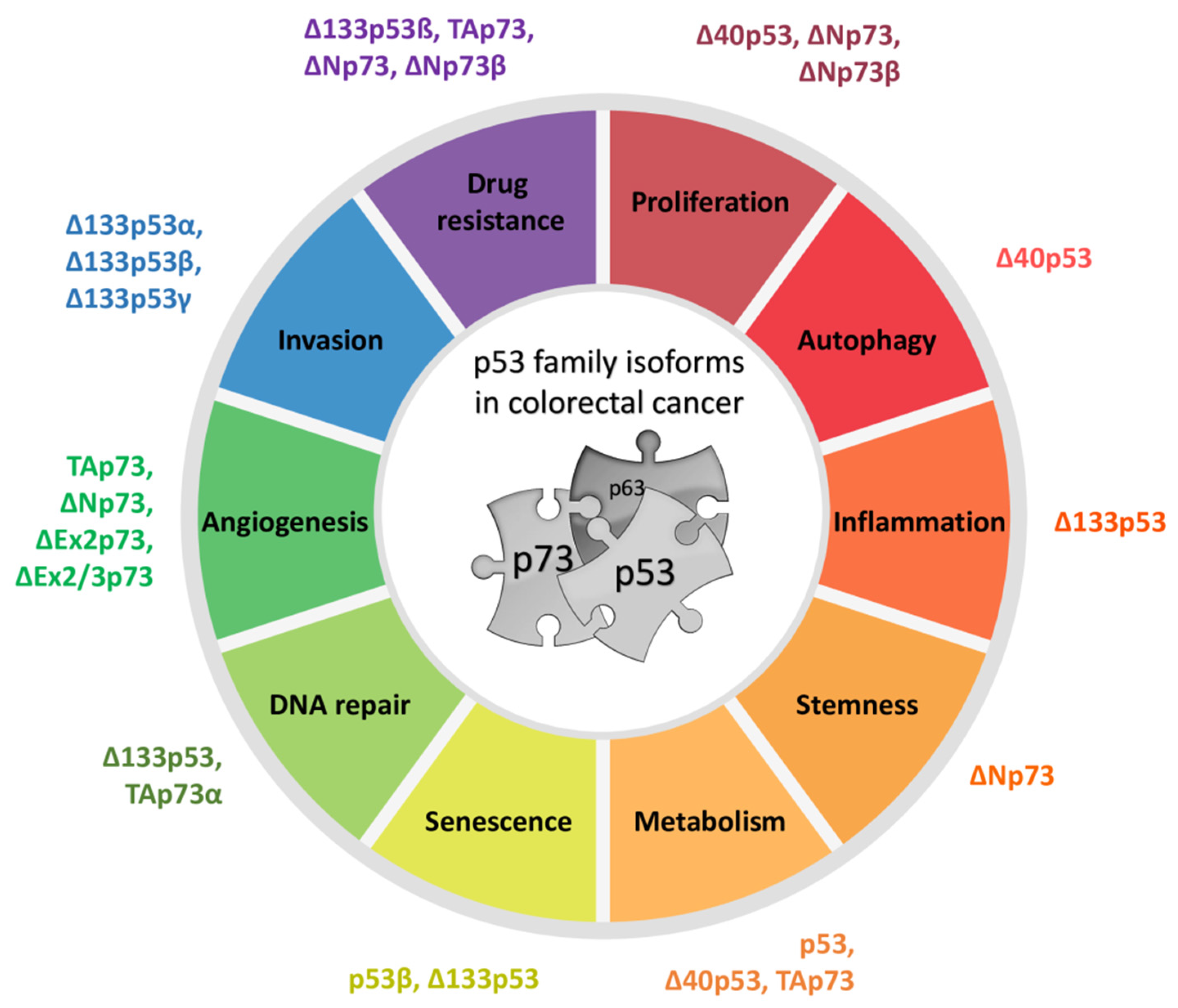 Cancers 13 02885 g006