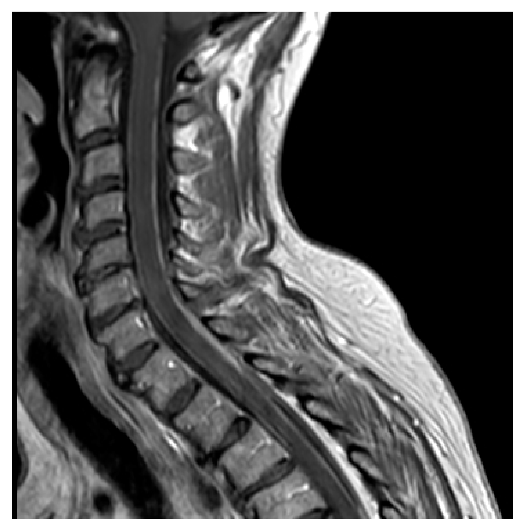 Cancers 13 02888 g002