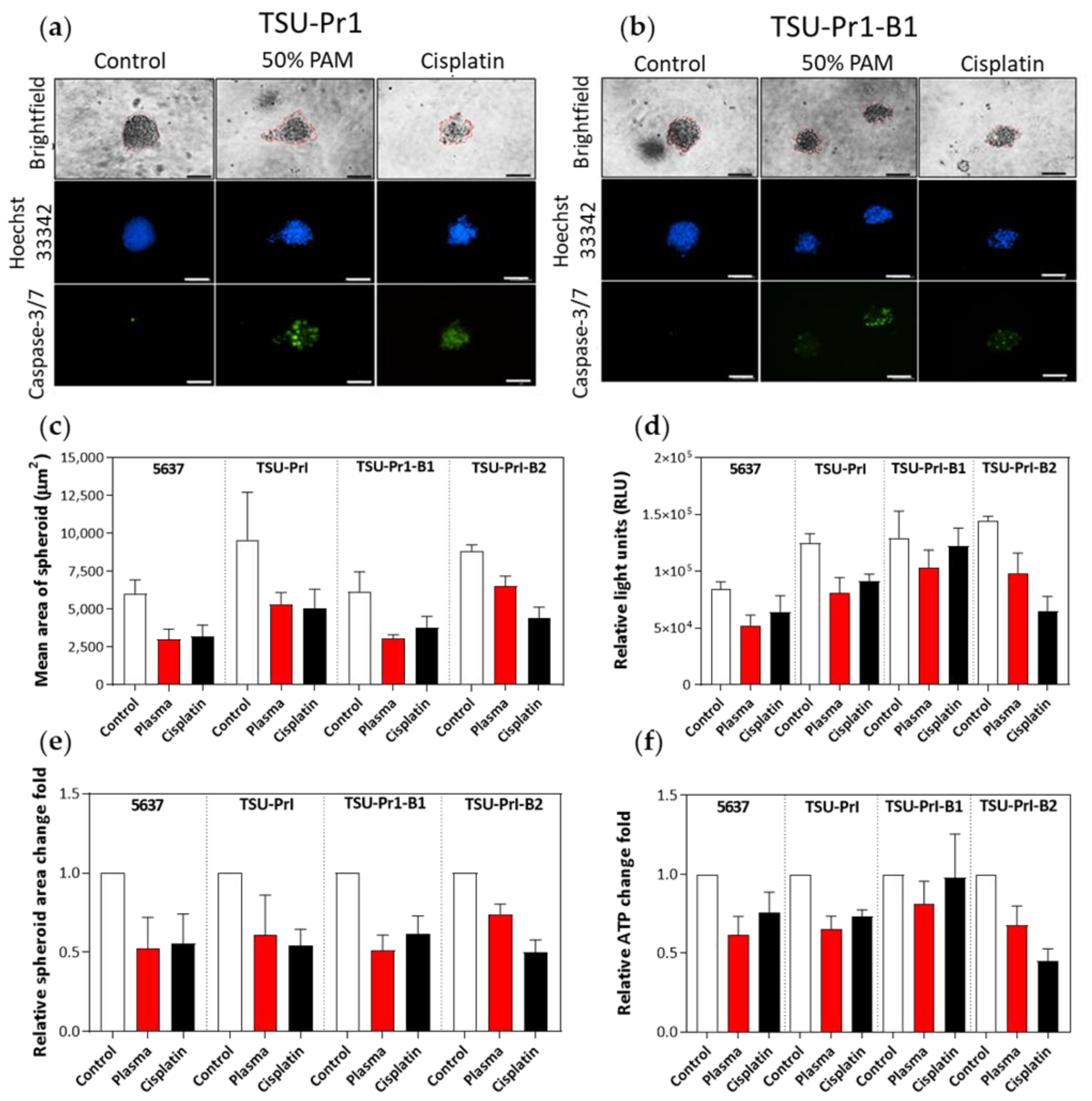 Cancers 13 02889 g006 Cancers 13 02889 g006