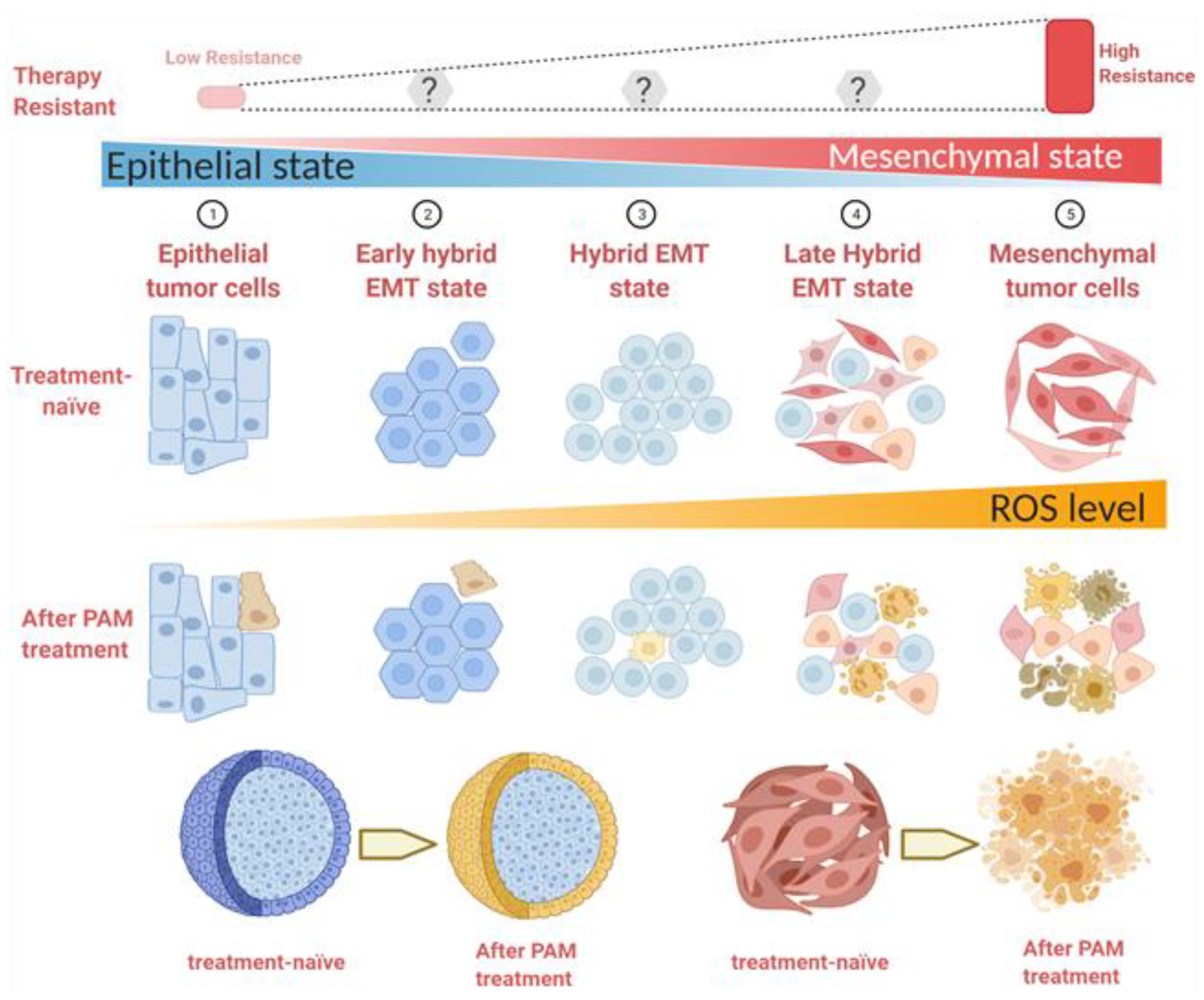Cancers 13 02889 g008 Cancers 13 02889 g008