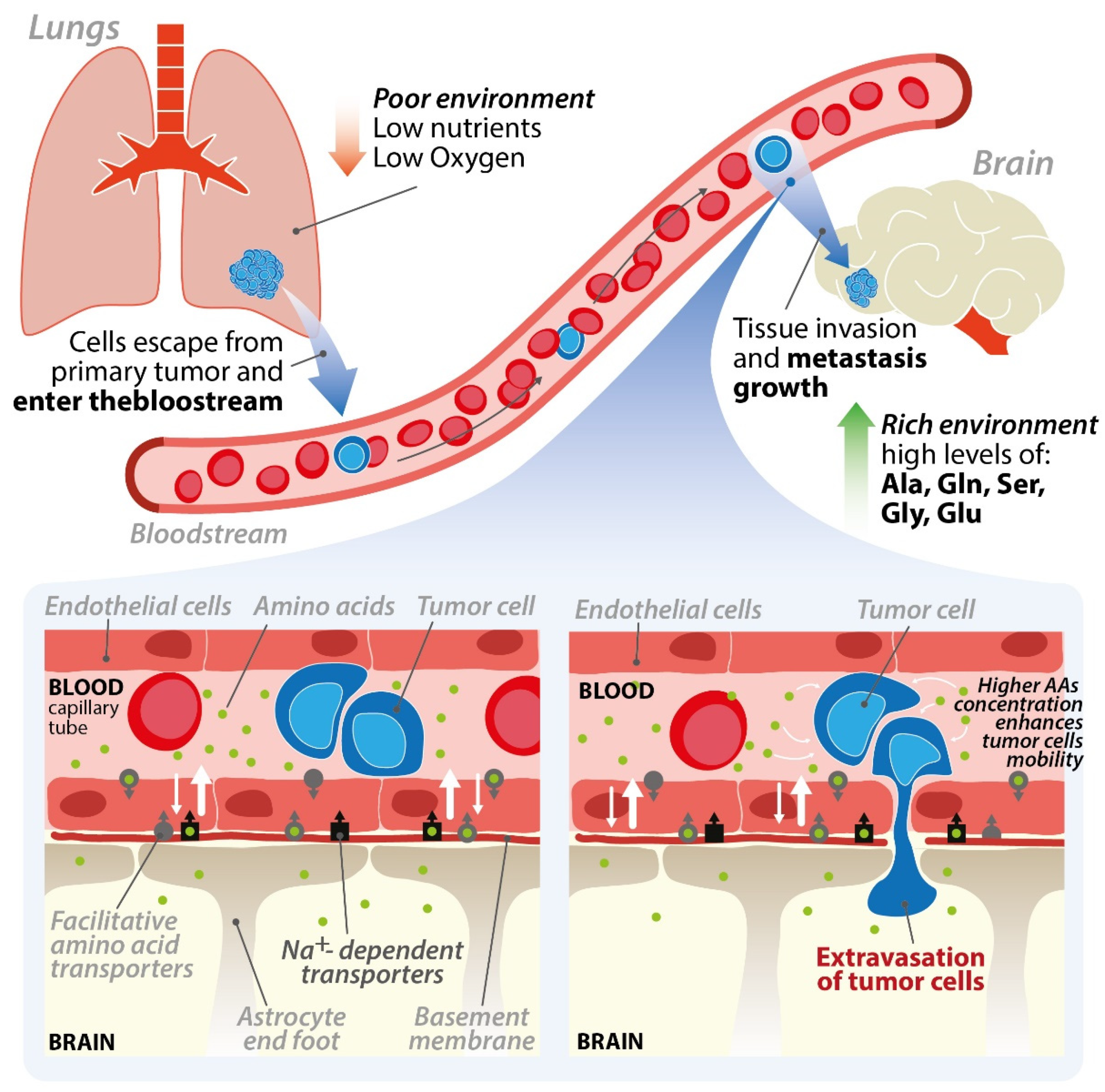 Cancers 13 02891 g003