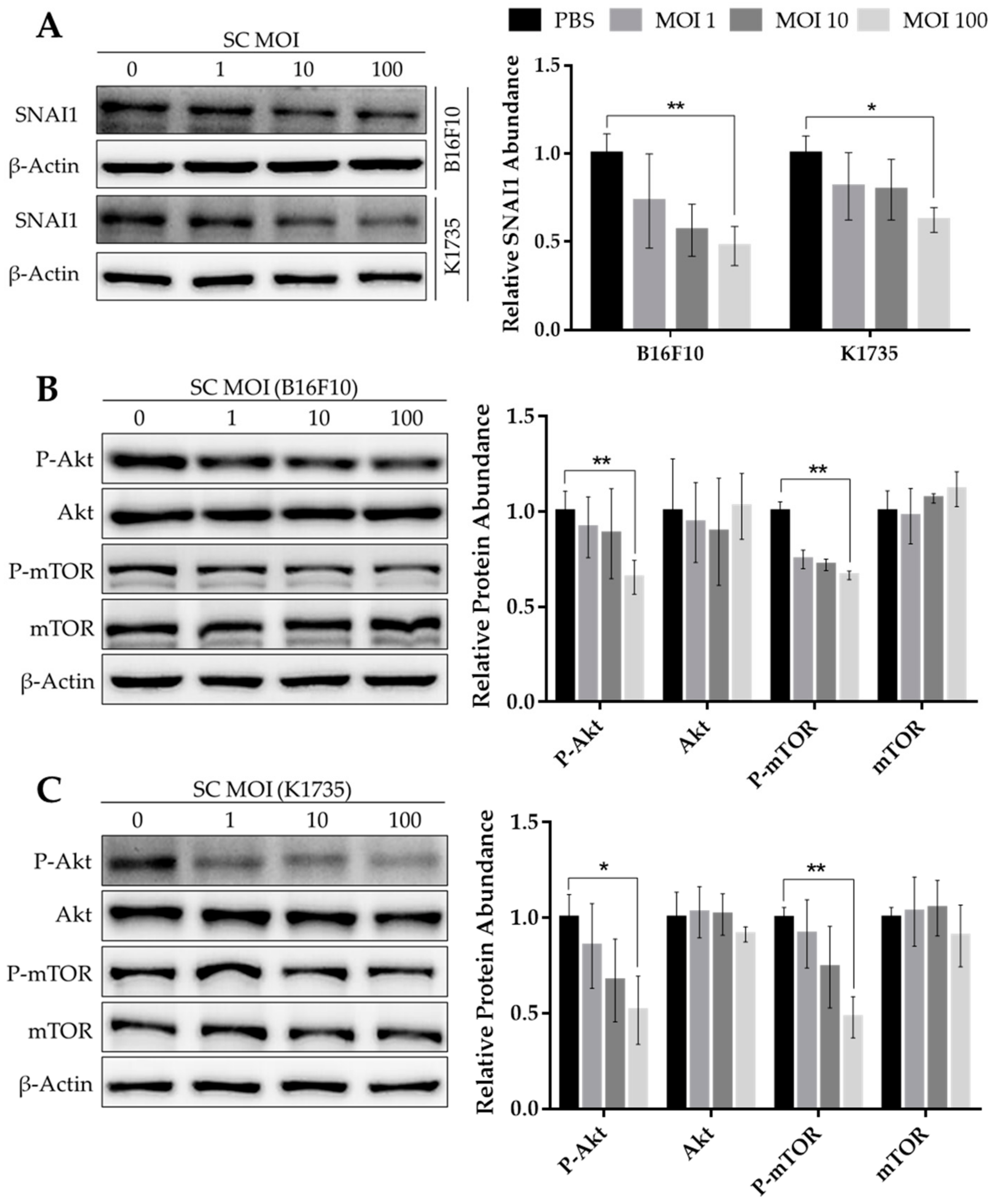 Cancers 13 02894 g001 Cancers 13 02894 g001