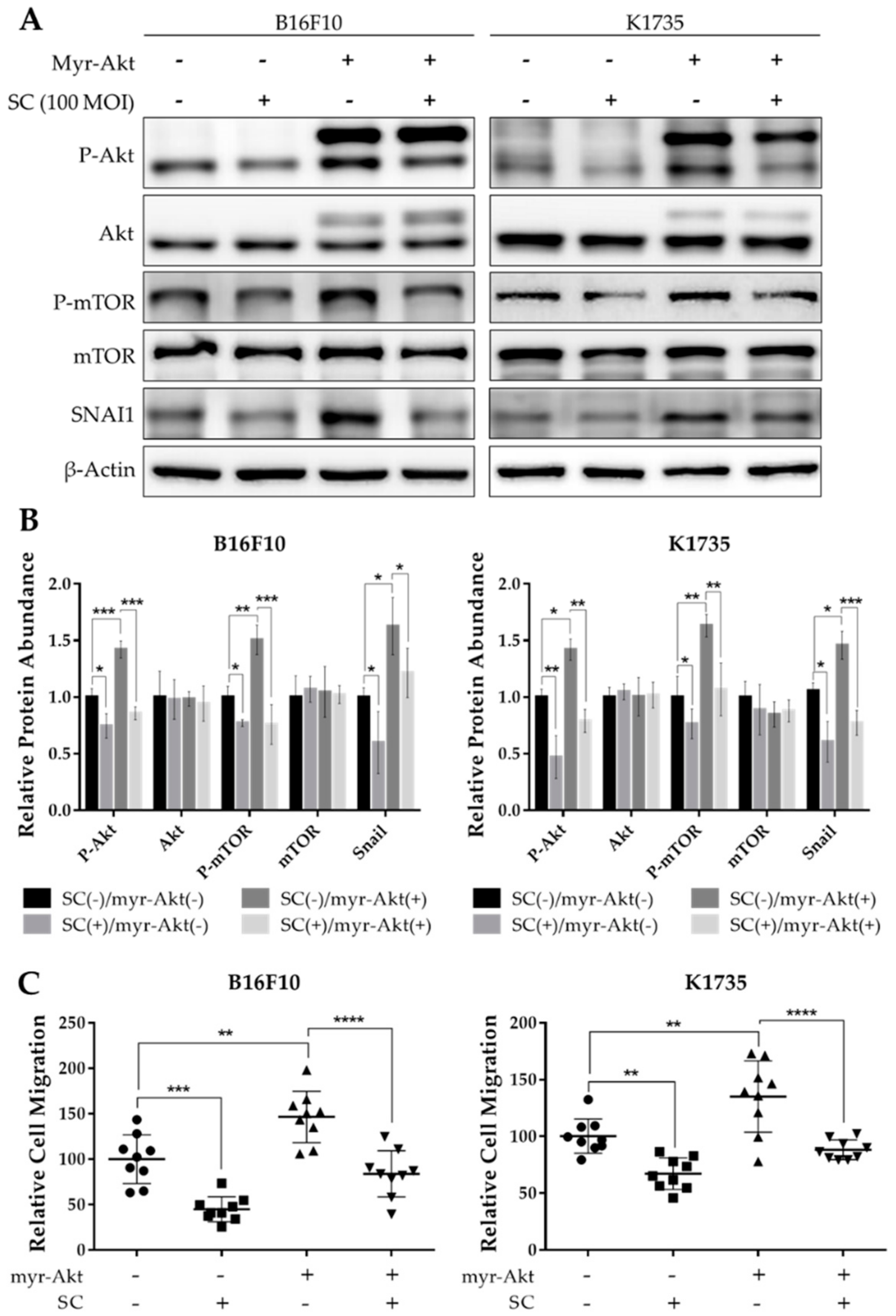Cancers 13 02894 g003 Cancers 13 02894 g003