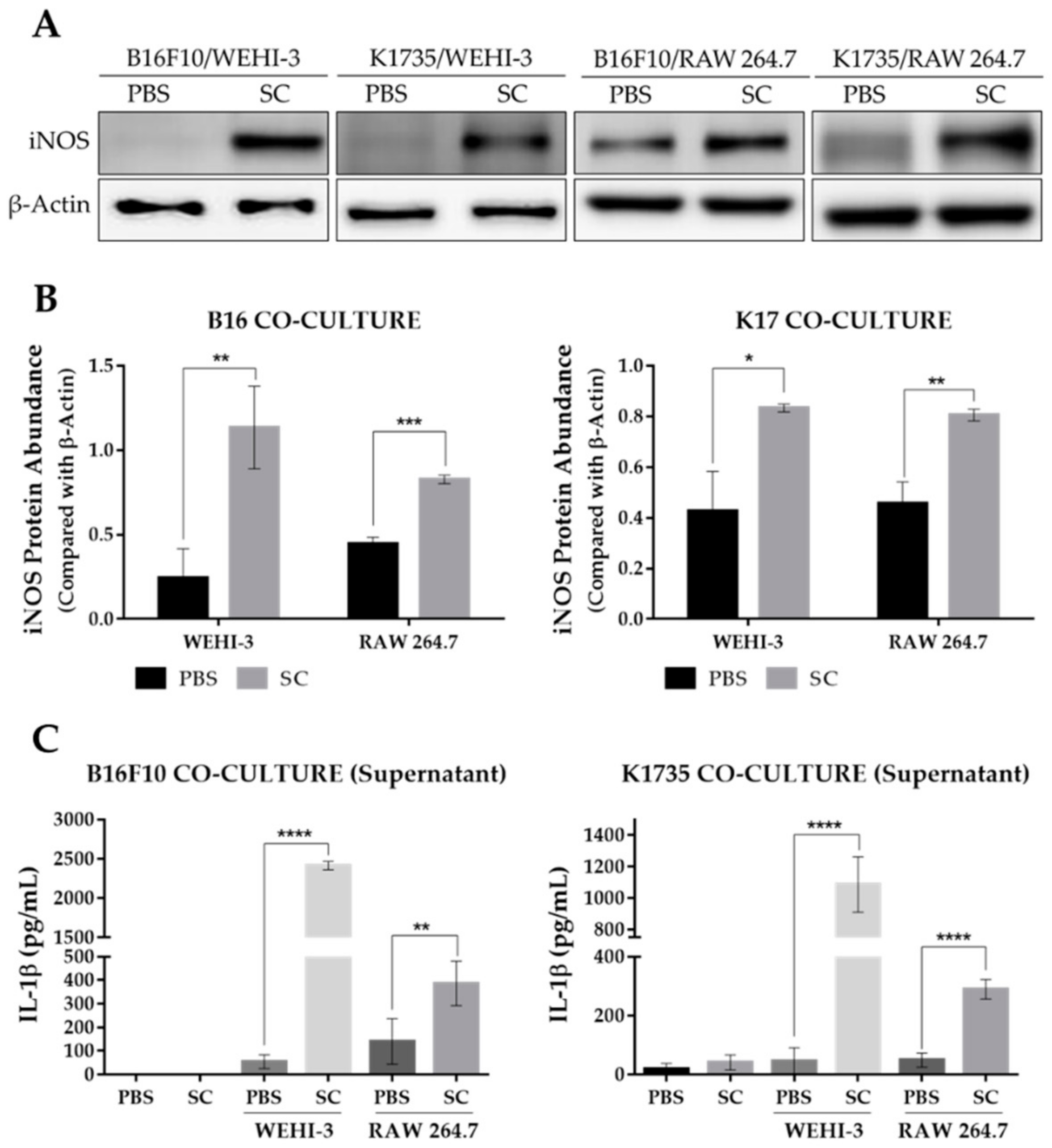 Cancers 13 02894 g004 Cancers 13 02894 g004