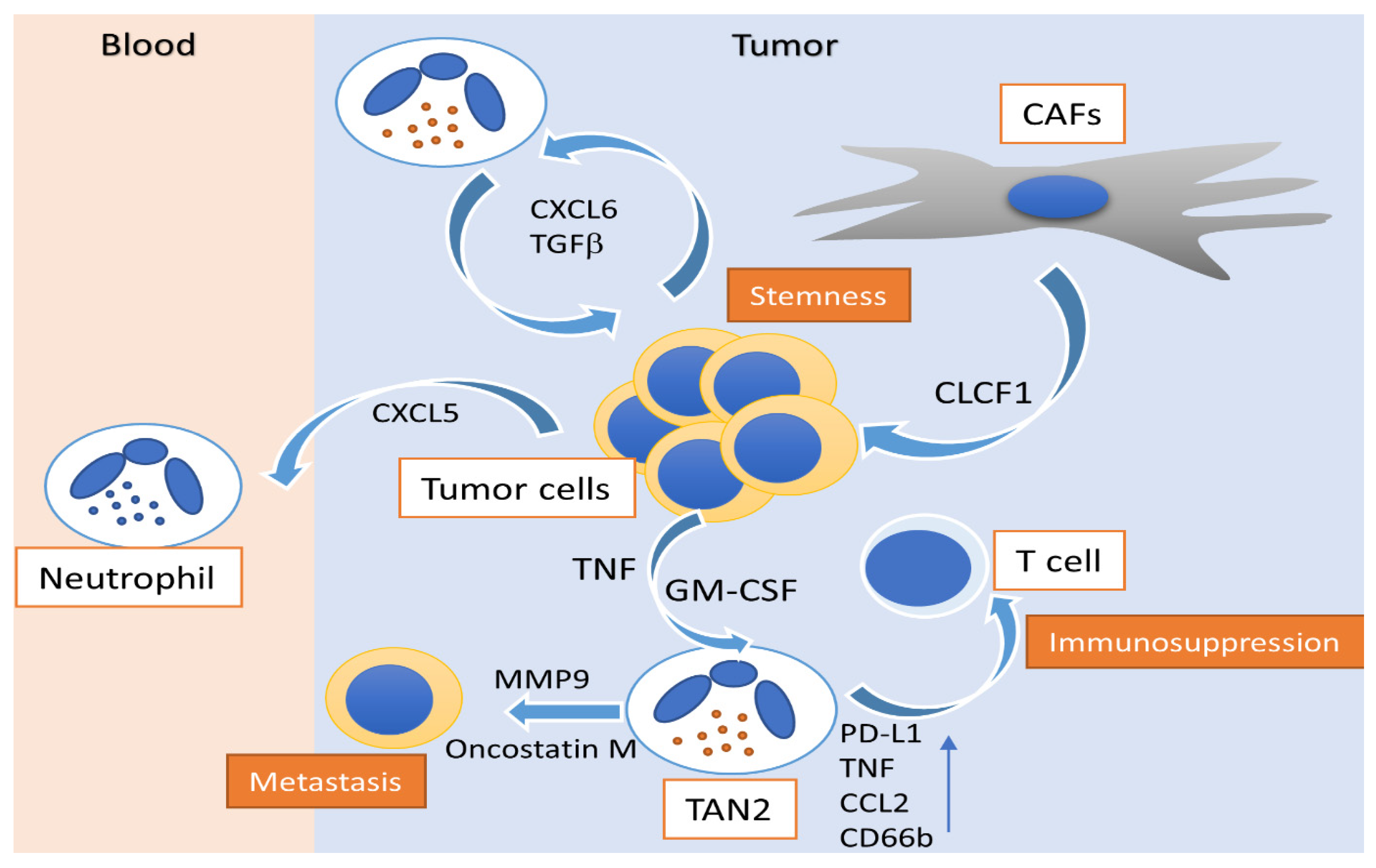 Cancers 13 02899 g001 Cancers 13 02899 g001