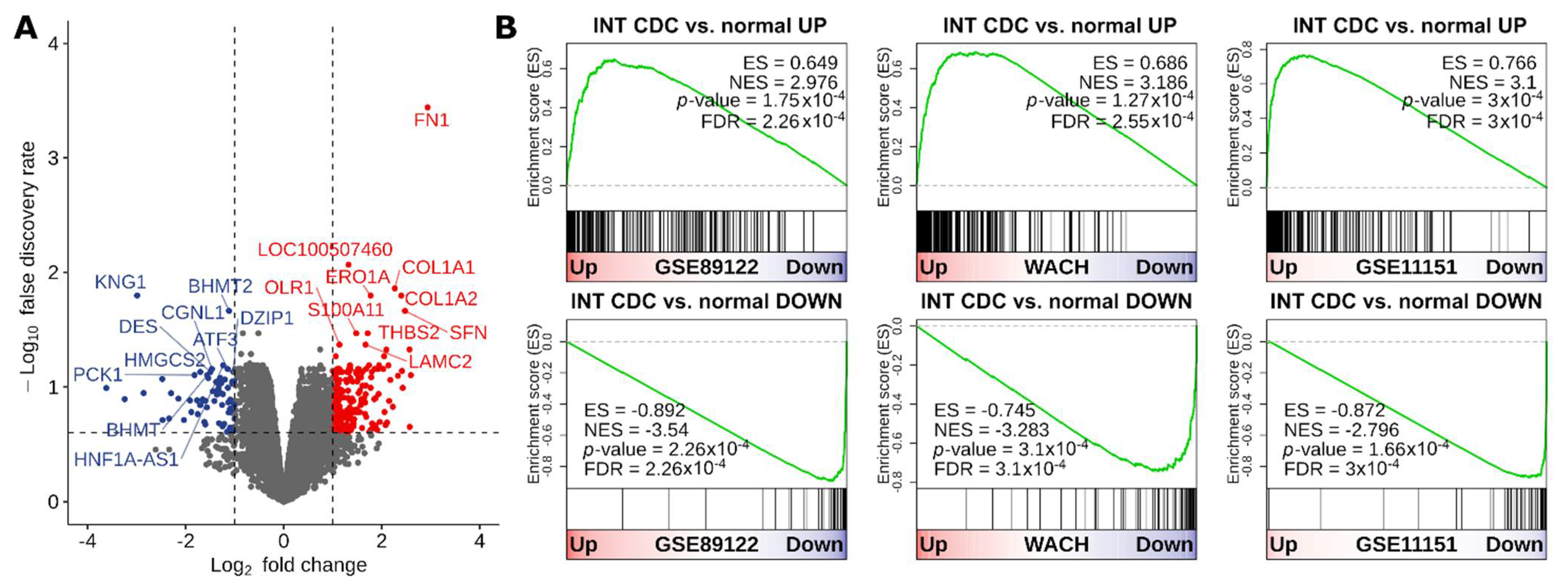 Cancers 13 02903 g001 Cancers 13 02903 g001