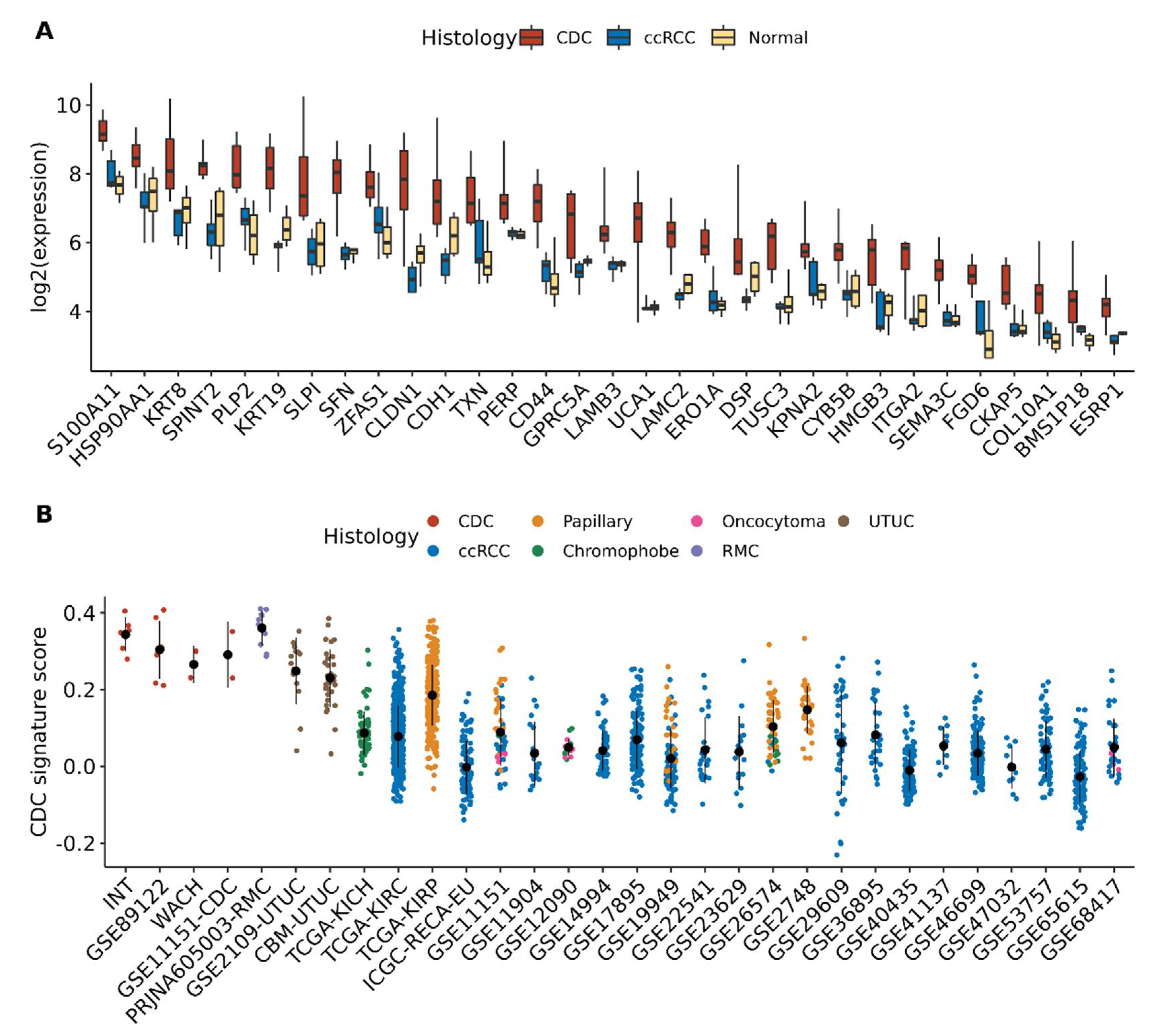 Cancers 13 02903 g003 Cancers 13 02903 g003