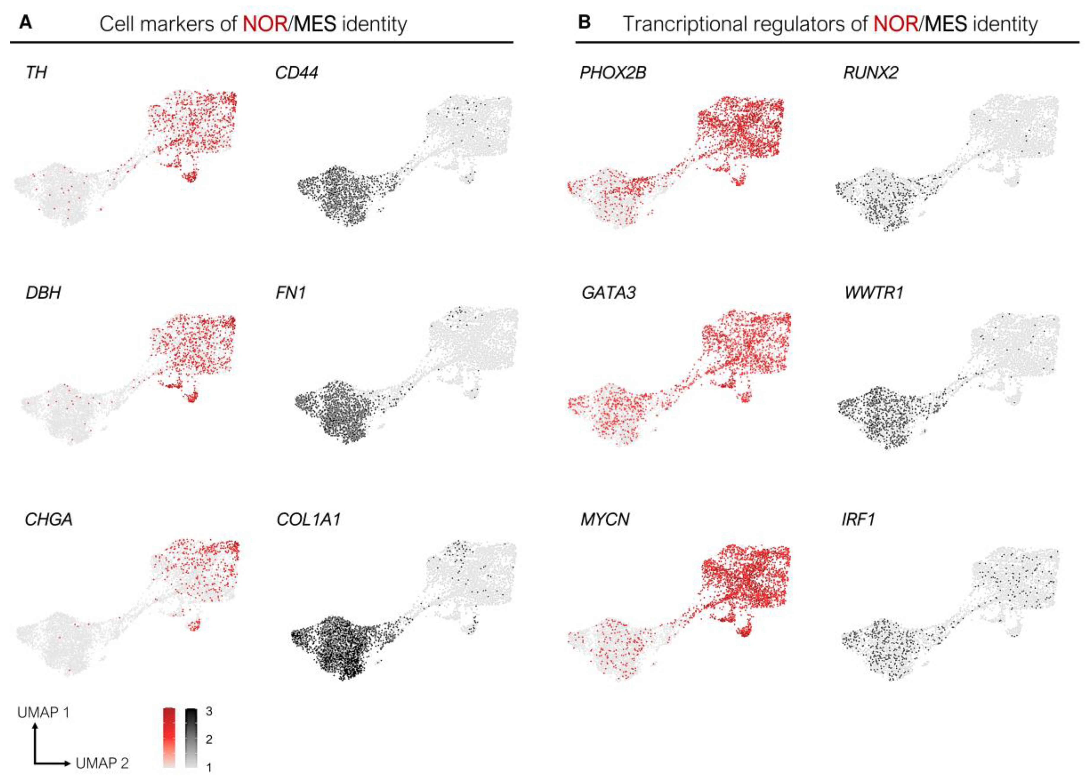 Cancers 13 02904 g003 Cancers 13 02904 g003