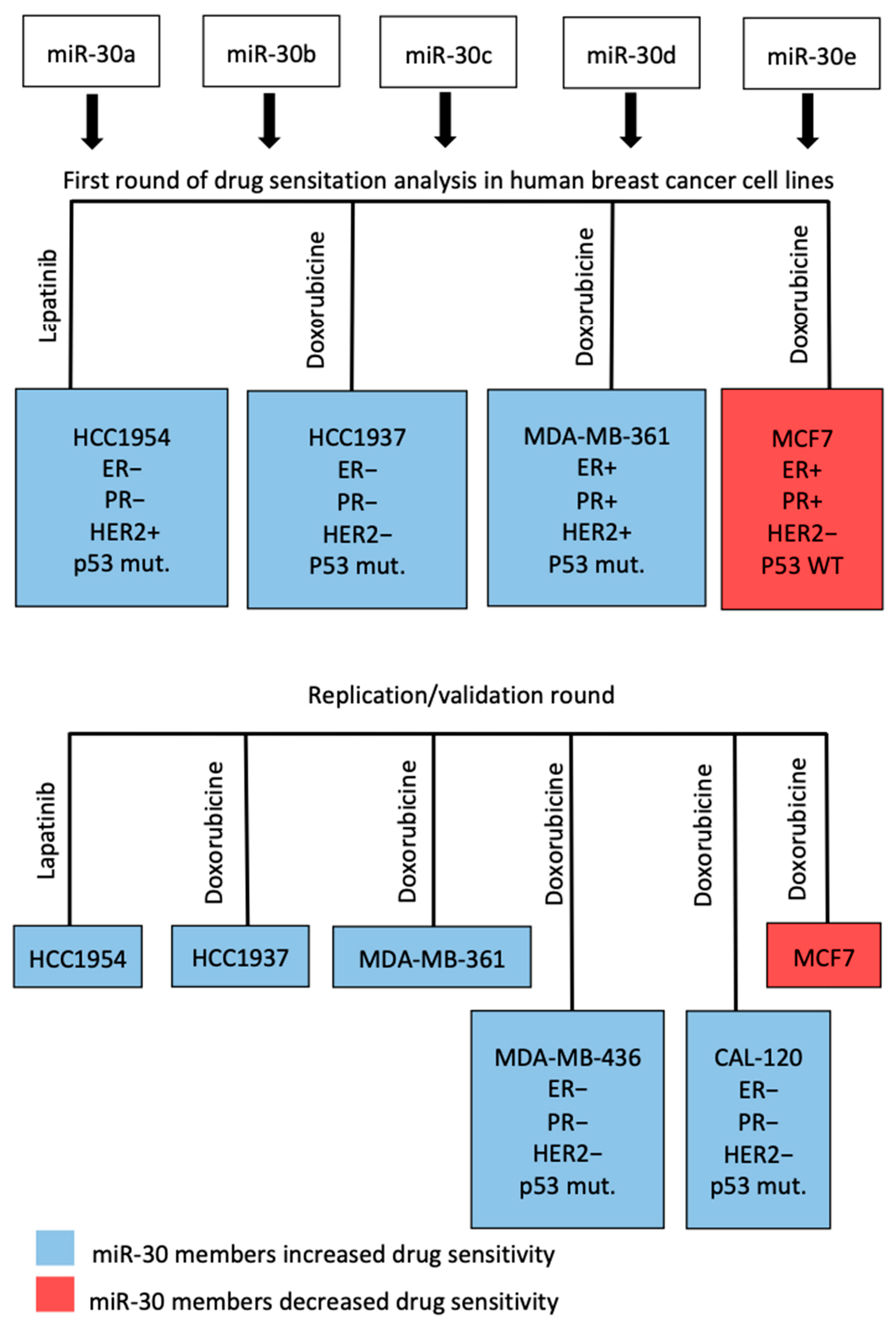 Cancers 13 02907 g003 Cancers 13 02907 g003