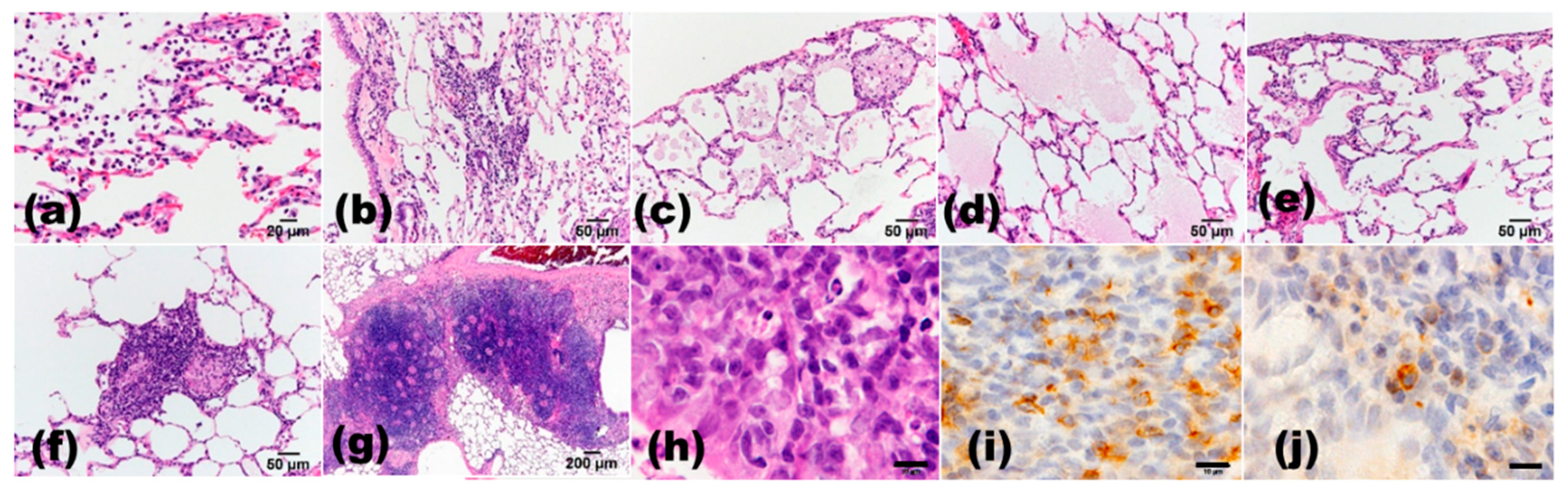 Cancers 13 02910 g003 Cancers 13 02910 g003