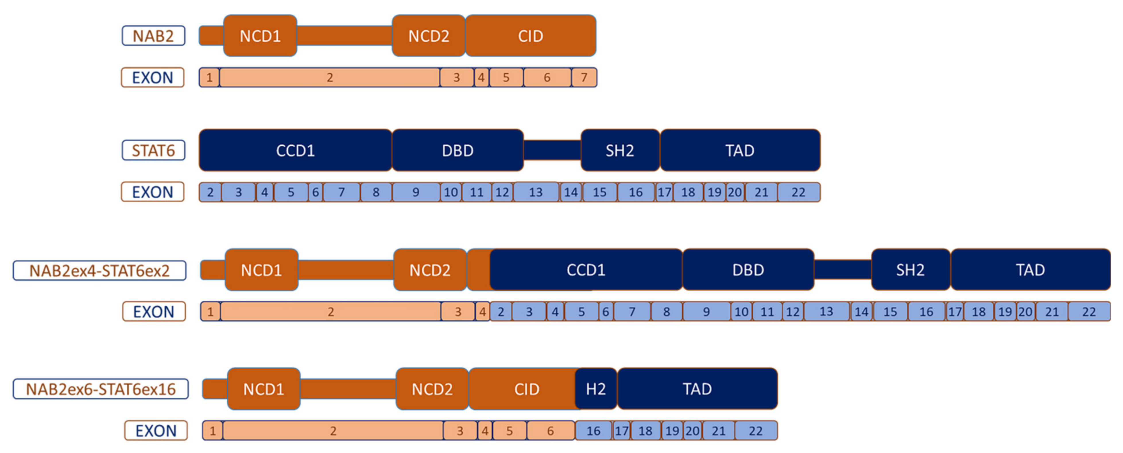 Cancers 13 02913 g002 Cancers 13 02913 g002