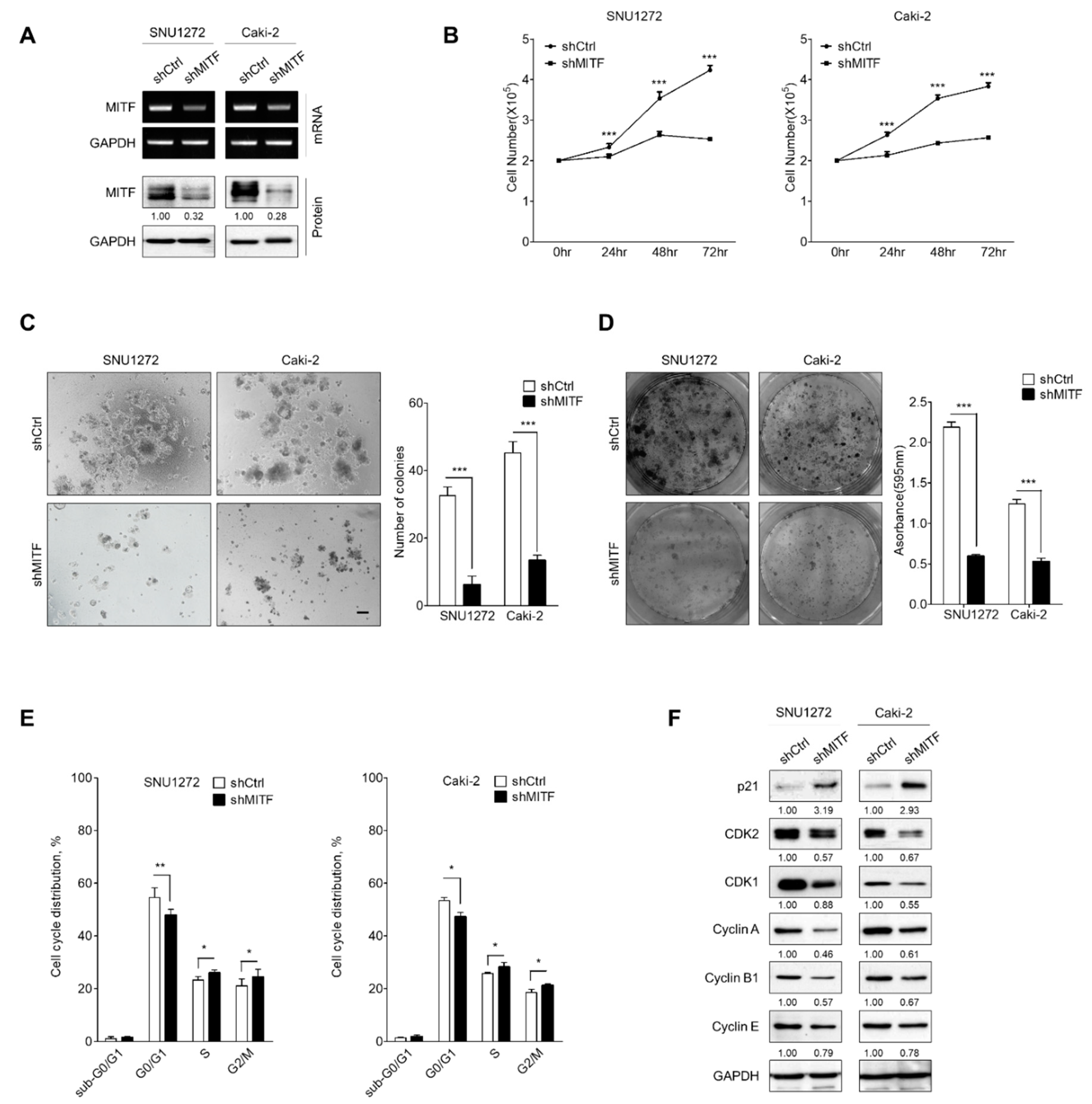 Cancers 13 02920 g001 Cancers 13 02920 g001