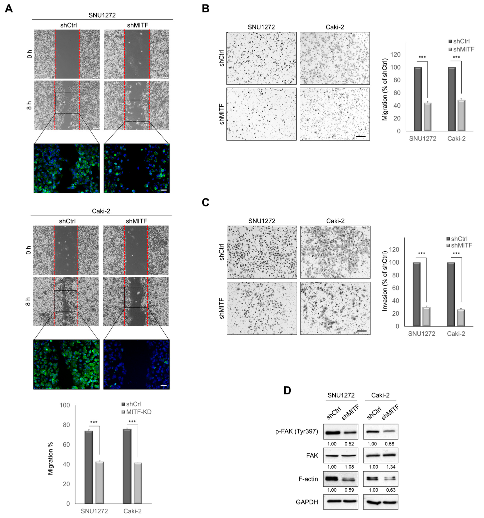 Cancers 13 02920 g002 Cancers 13 02920 g002