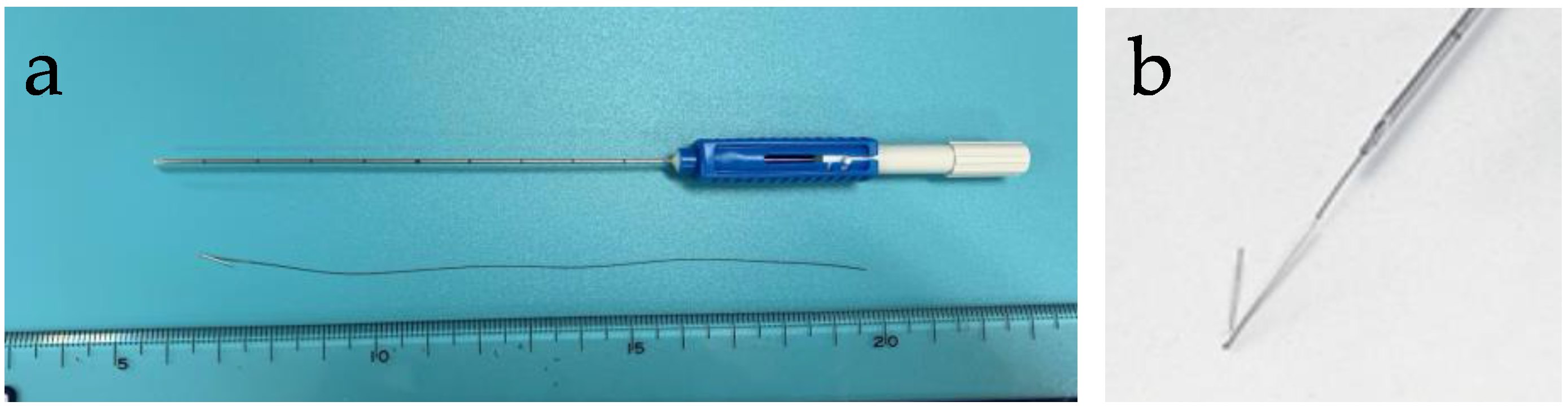 Cancers 13 02923 g002 Cancers 13 02923 g002