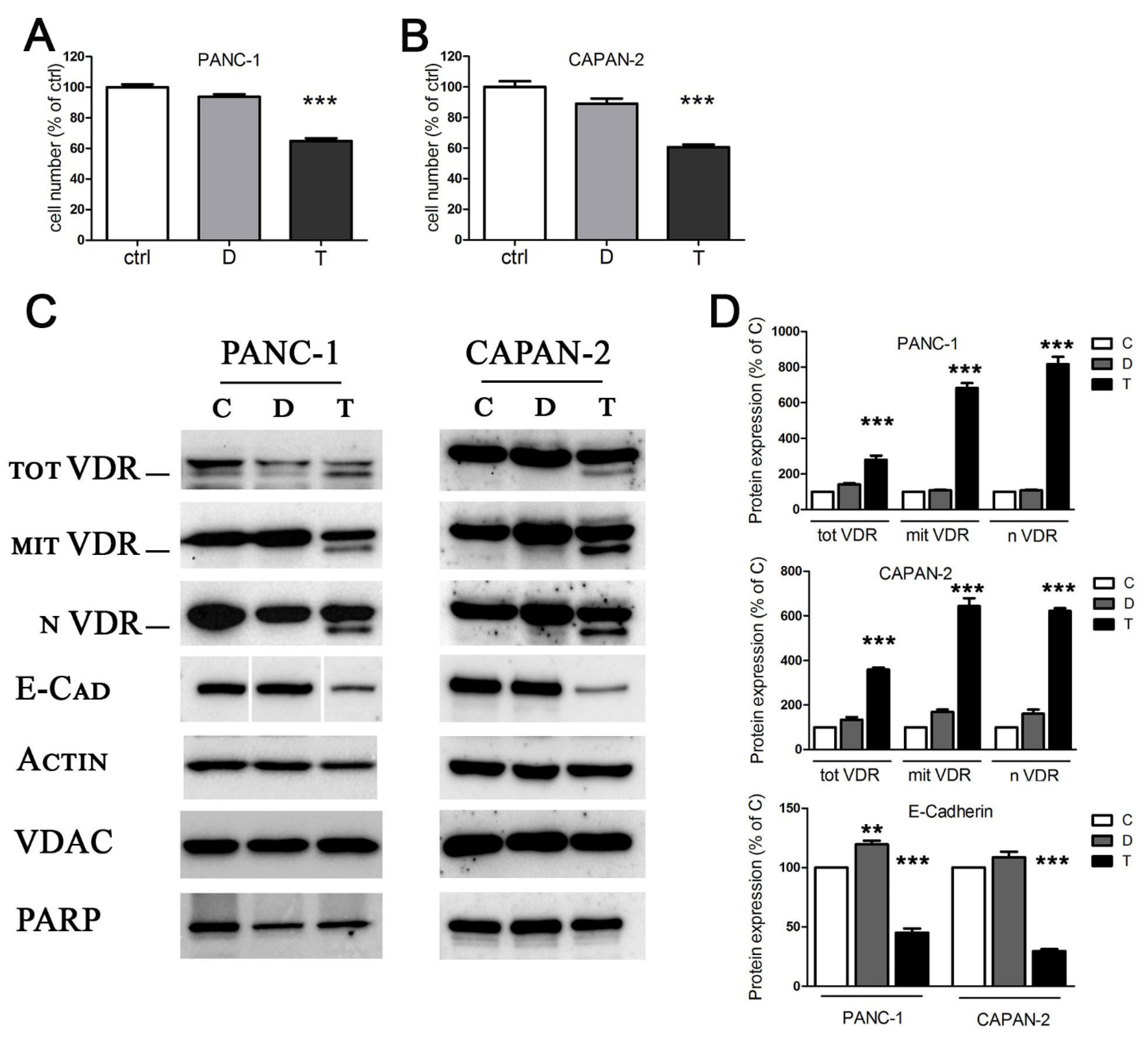 Cancers 13 02932 g001