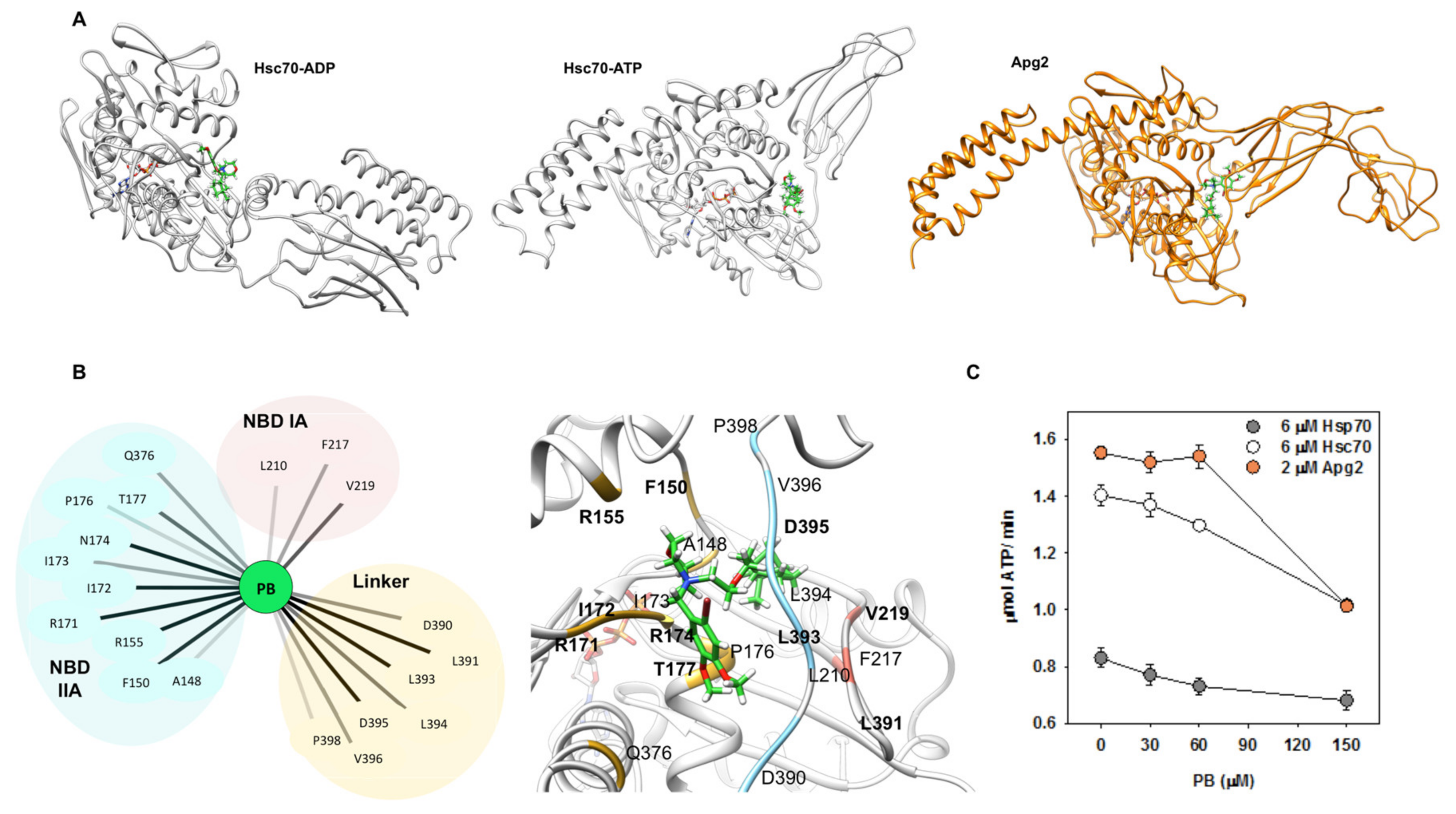Cancers 13 02936 g007 Cancers 13 02936 g007