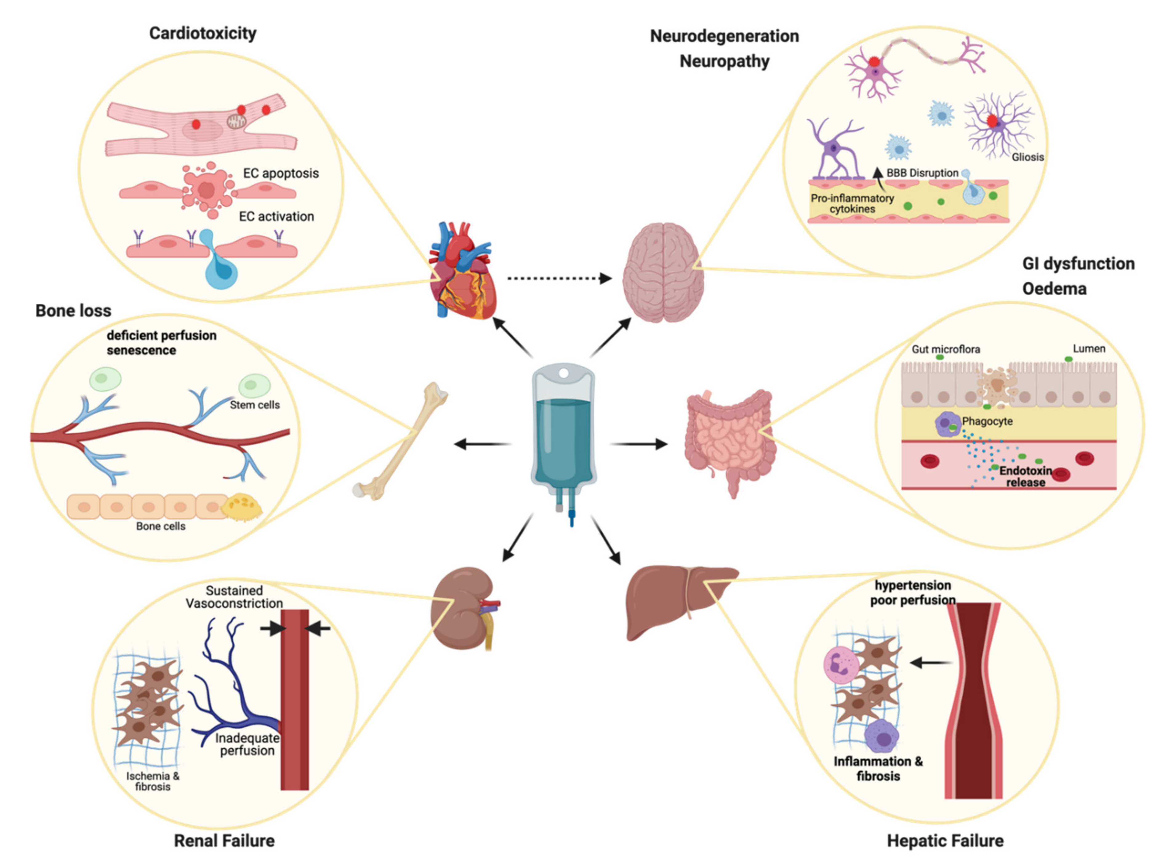Cancers 13 02942 g002