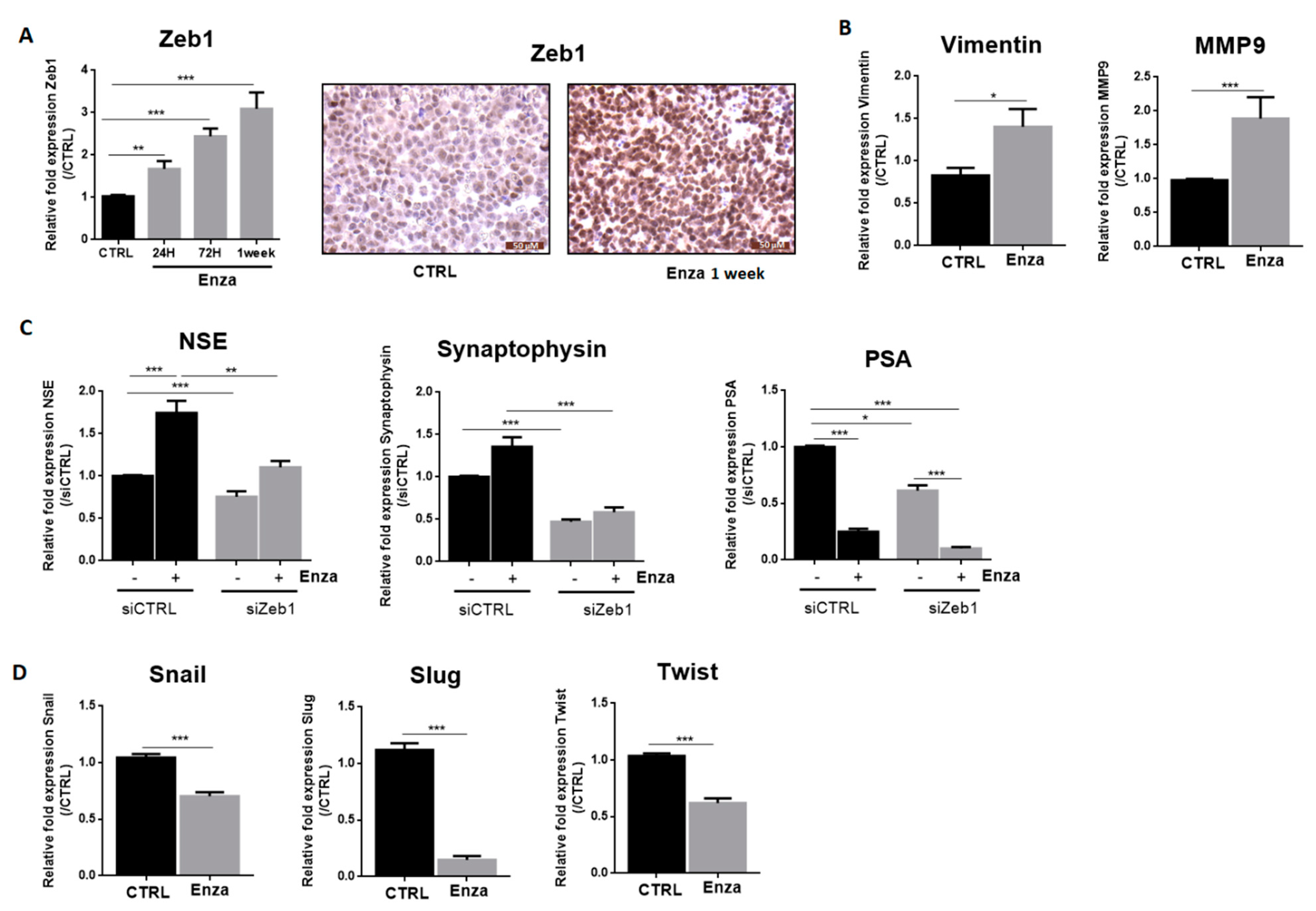 Cancers 13 02947 g003