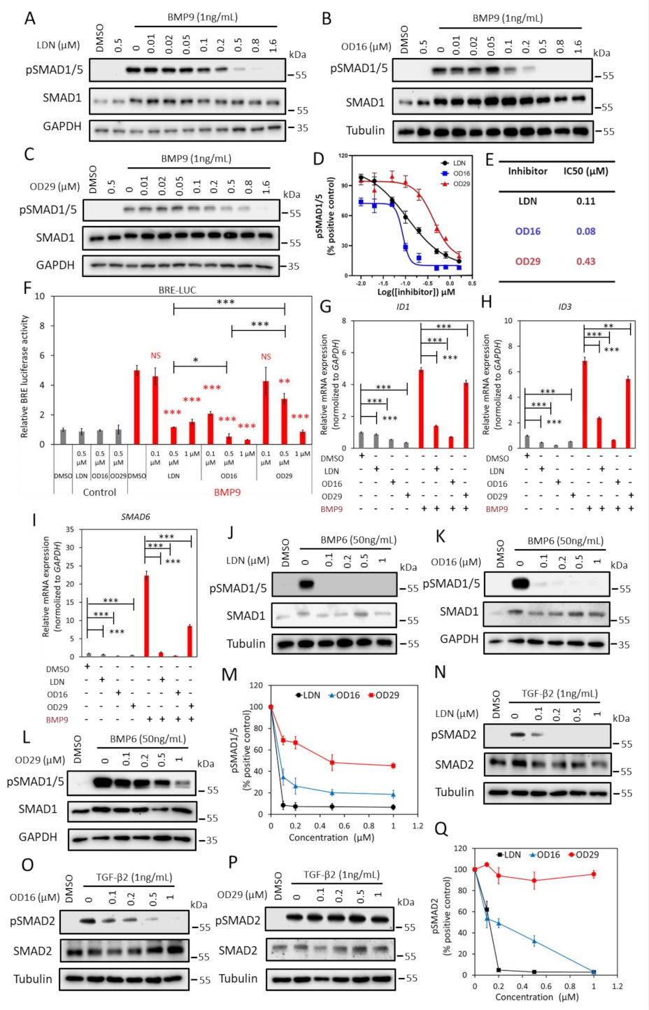 Cancers 13 02951 g002 Cancers 13 02951 g002