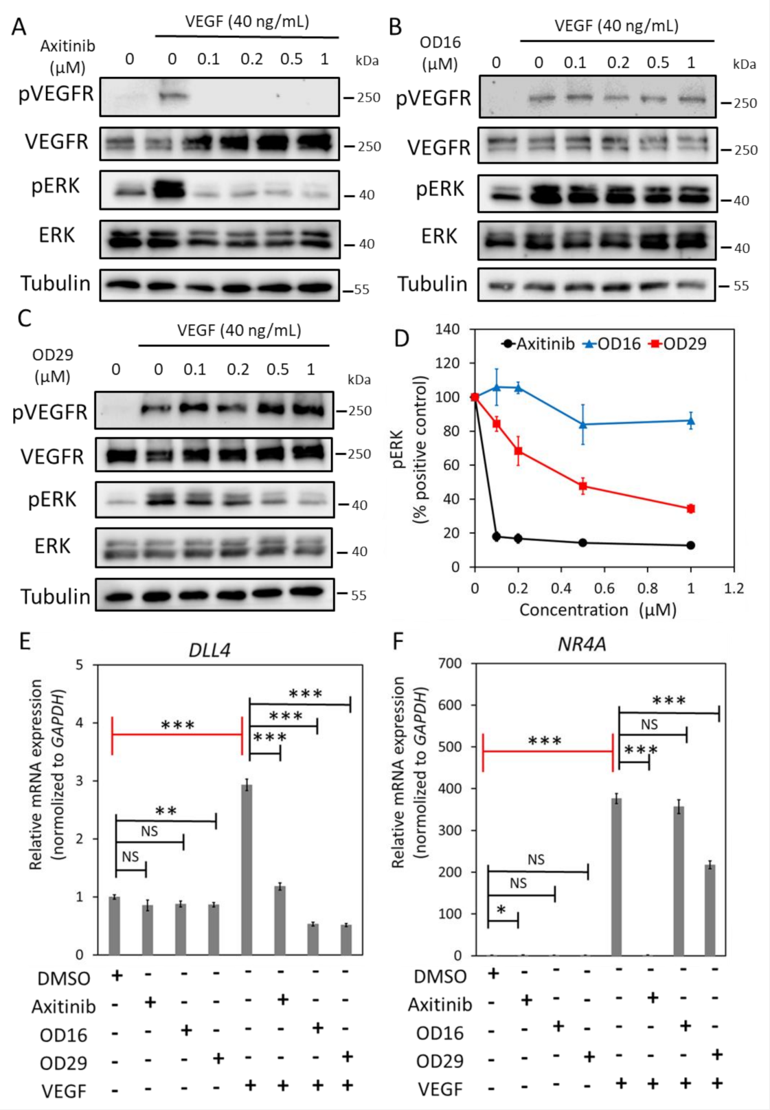 Cancers 13 02951 g003 Cancers 13 02951 g003