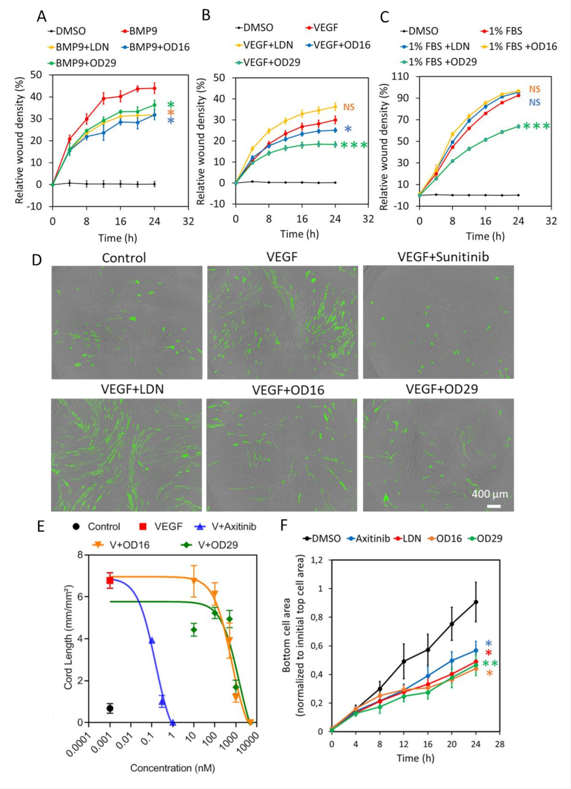 Cancers 13 02951 g004 Cancers 13 02951 g004