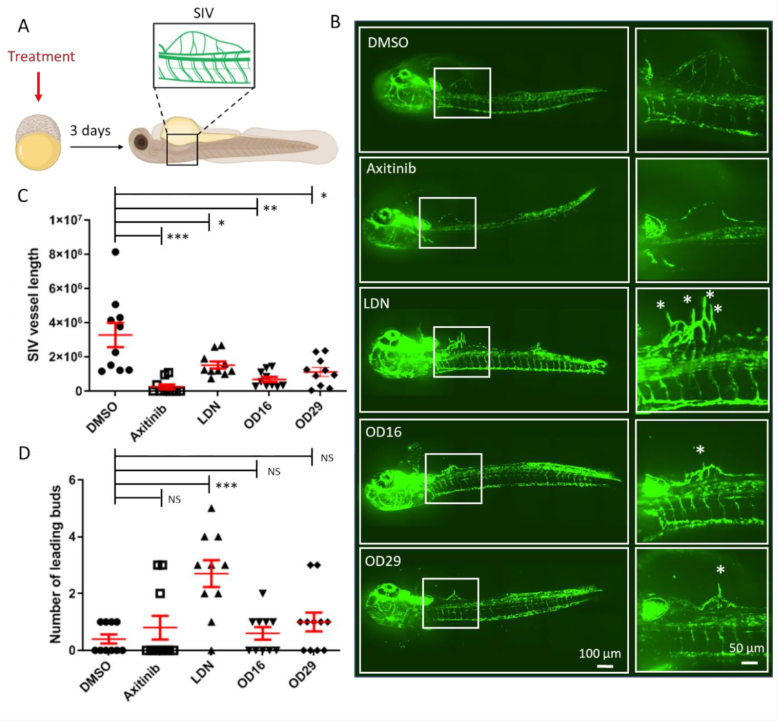 Cancers 13 02951 g006 Cancers 13 02951 g006