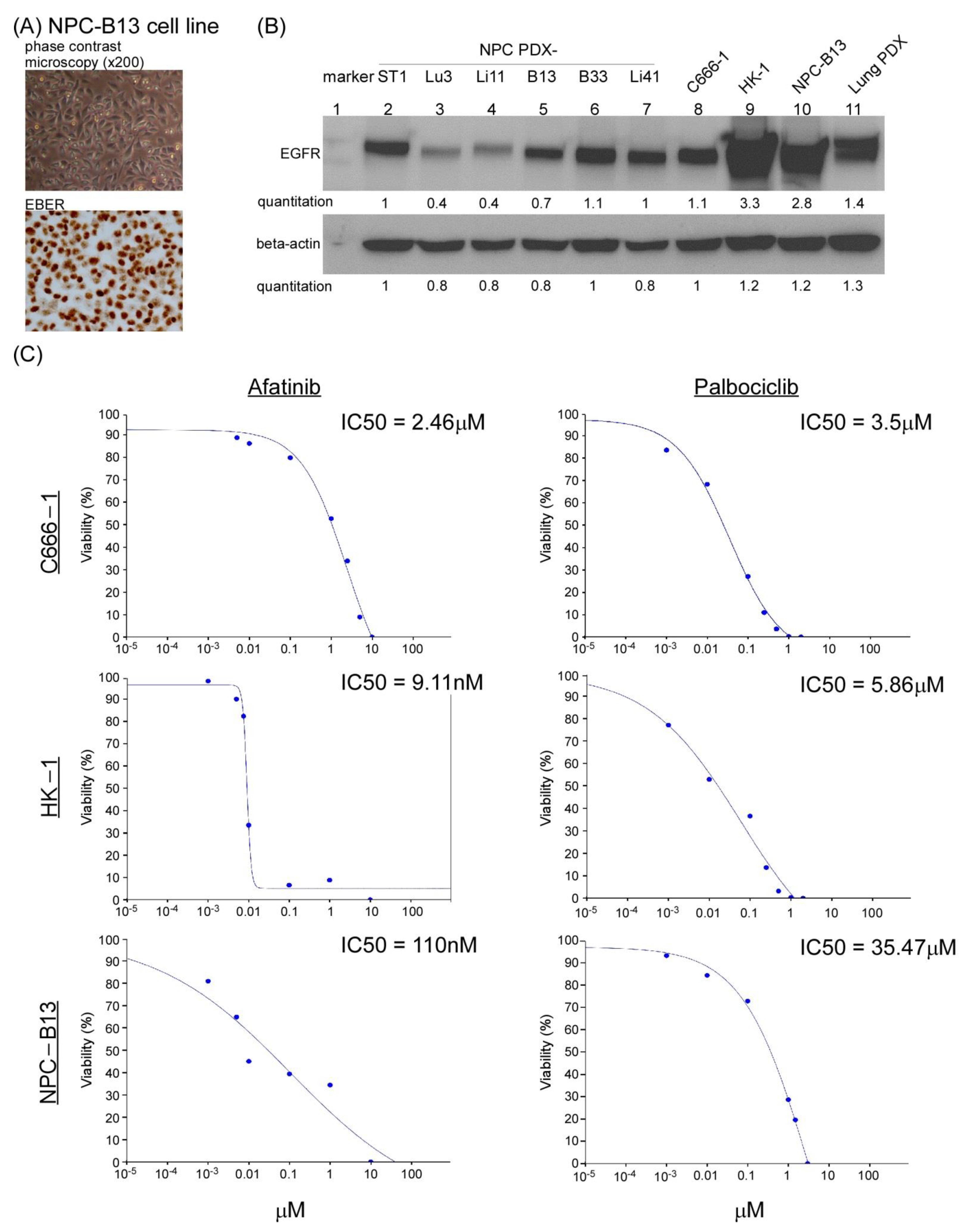Cancers 13 02954 g002 Cancers 13 02954 g002