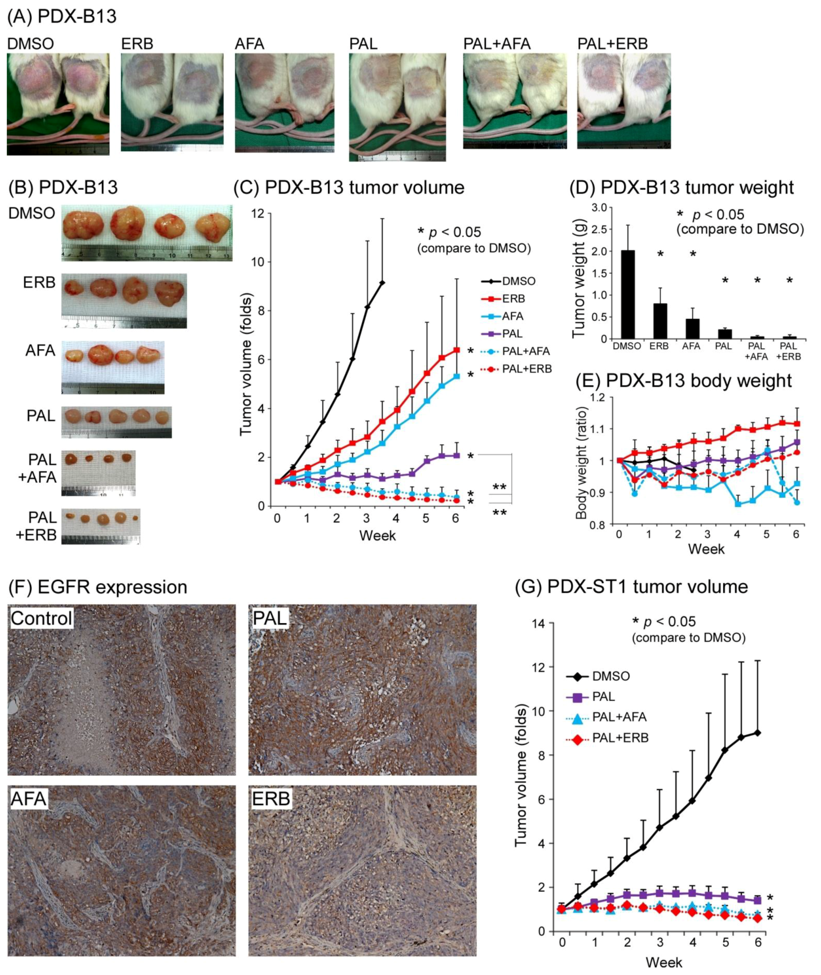 Cancers 13 02954 g003 Cancers 13 02954 g003
