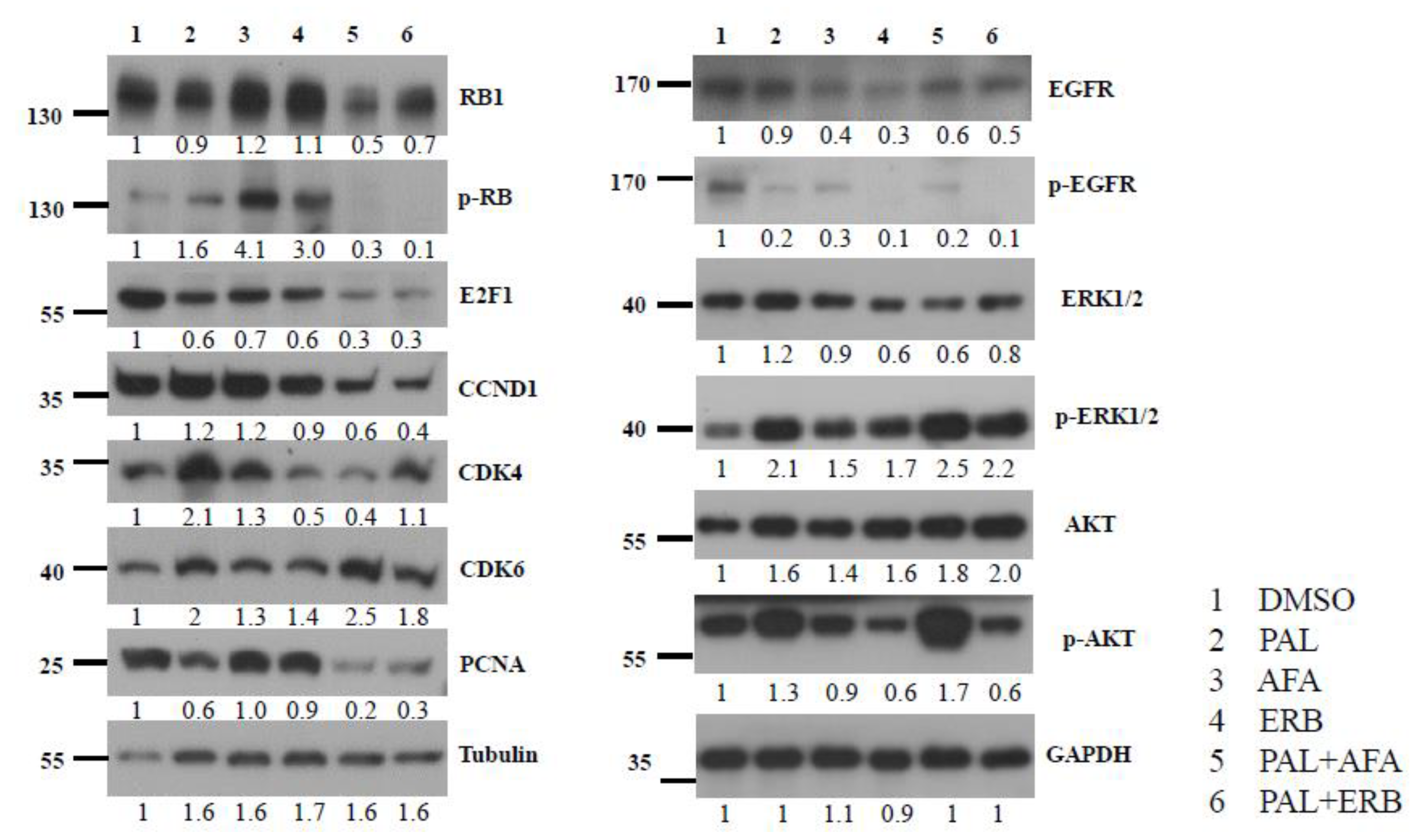 Cancers 13 02954 g005 Cancers 13 02954 g005