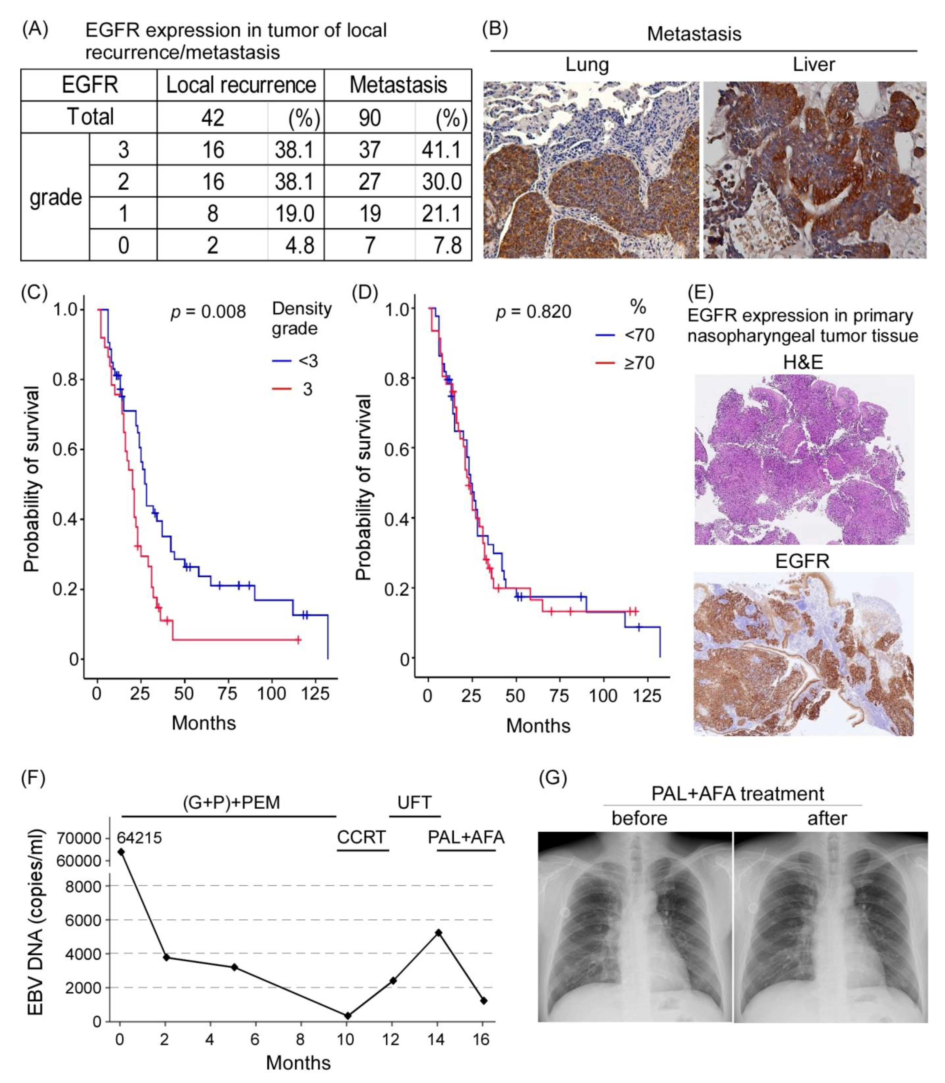 Cancers 13 02954 g007 Cancers 13 02954 g007