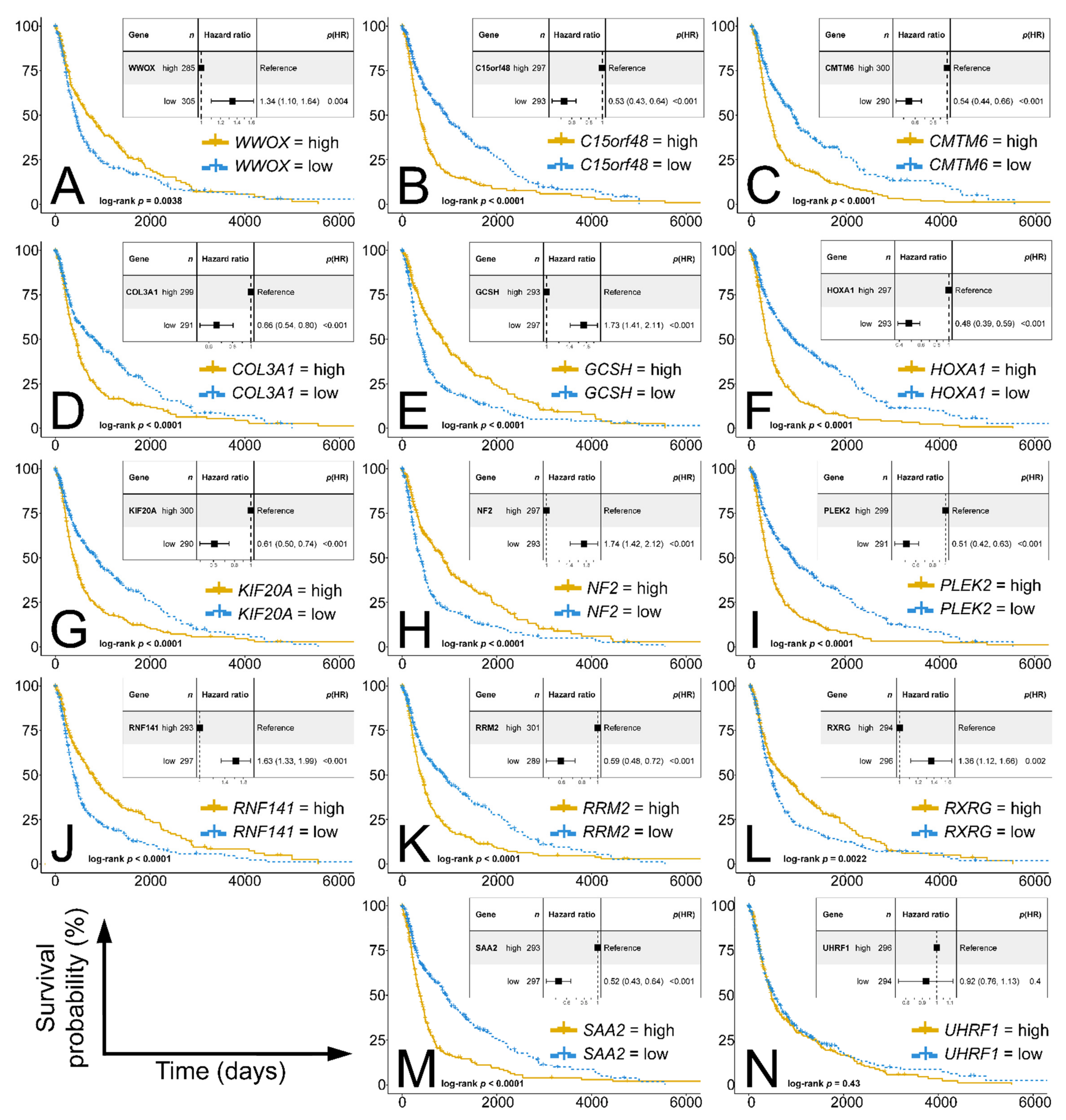 Cancers 13 02955 g007