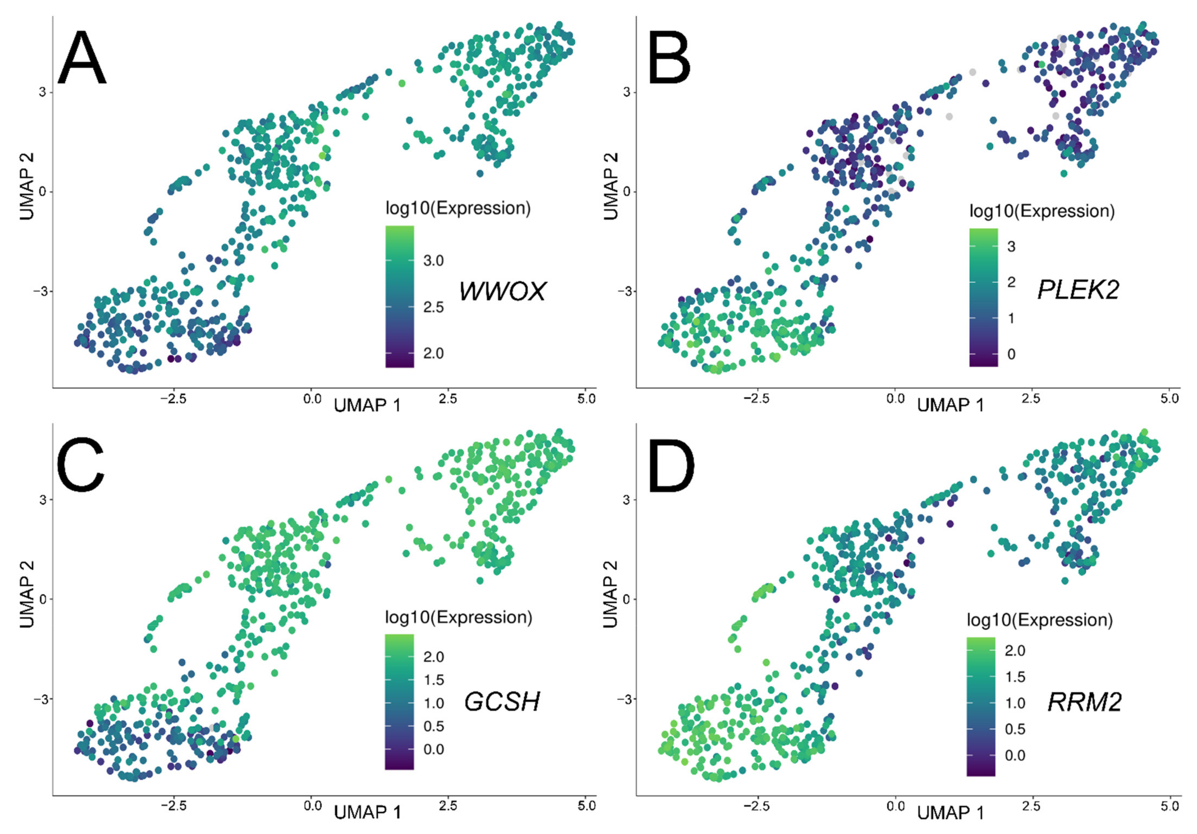 Cancers 13 02955 g008