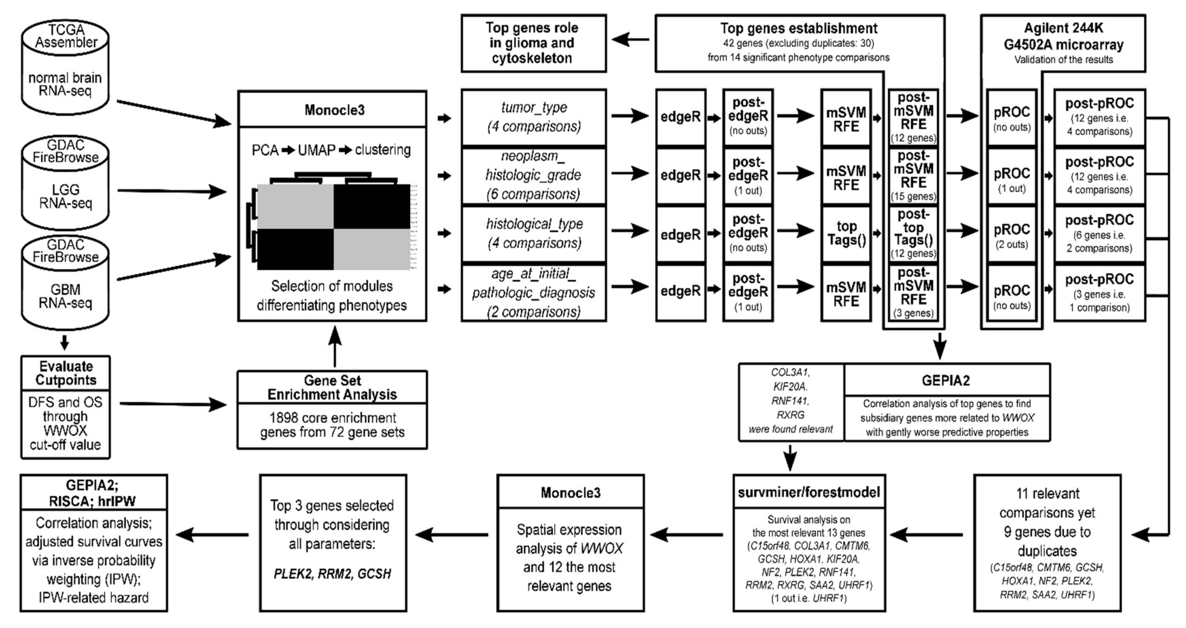 Cancers 13 02955 g010