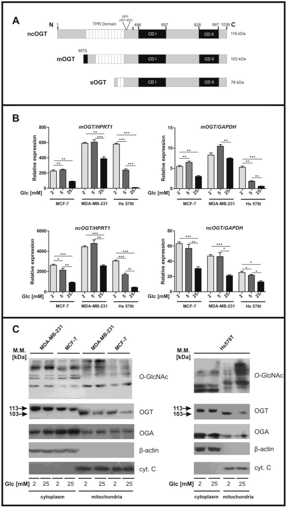 Cancers 13 02956 g001