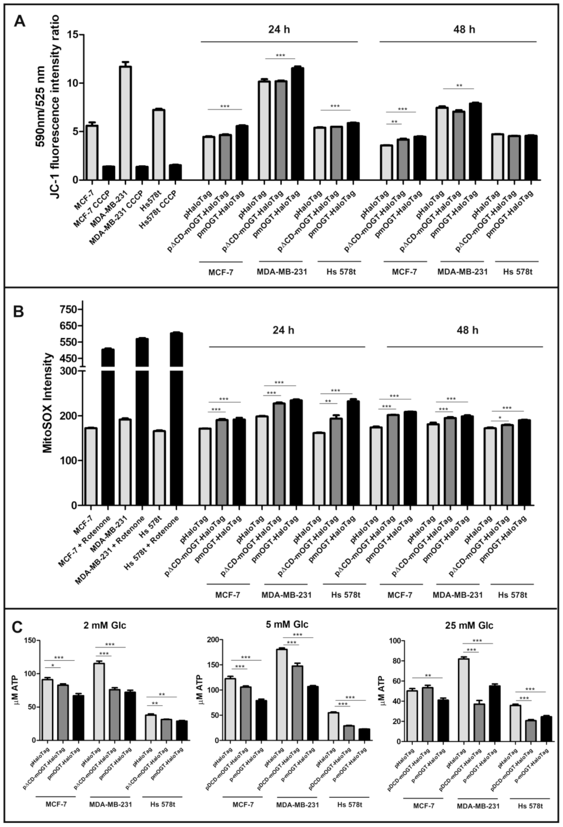 Cancers 13 02956 g003
