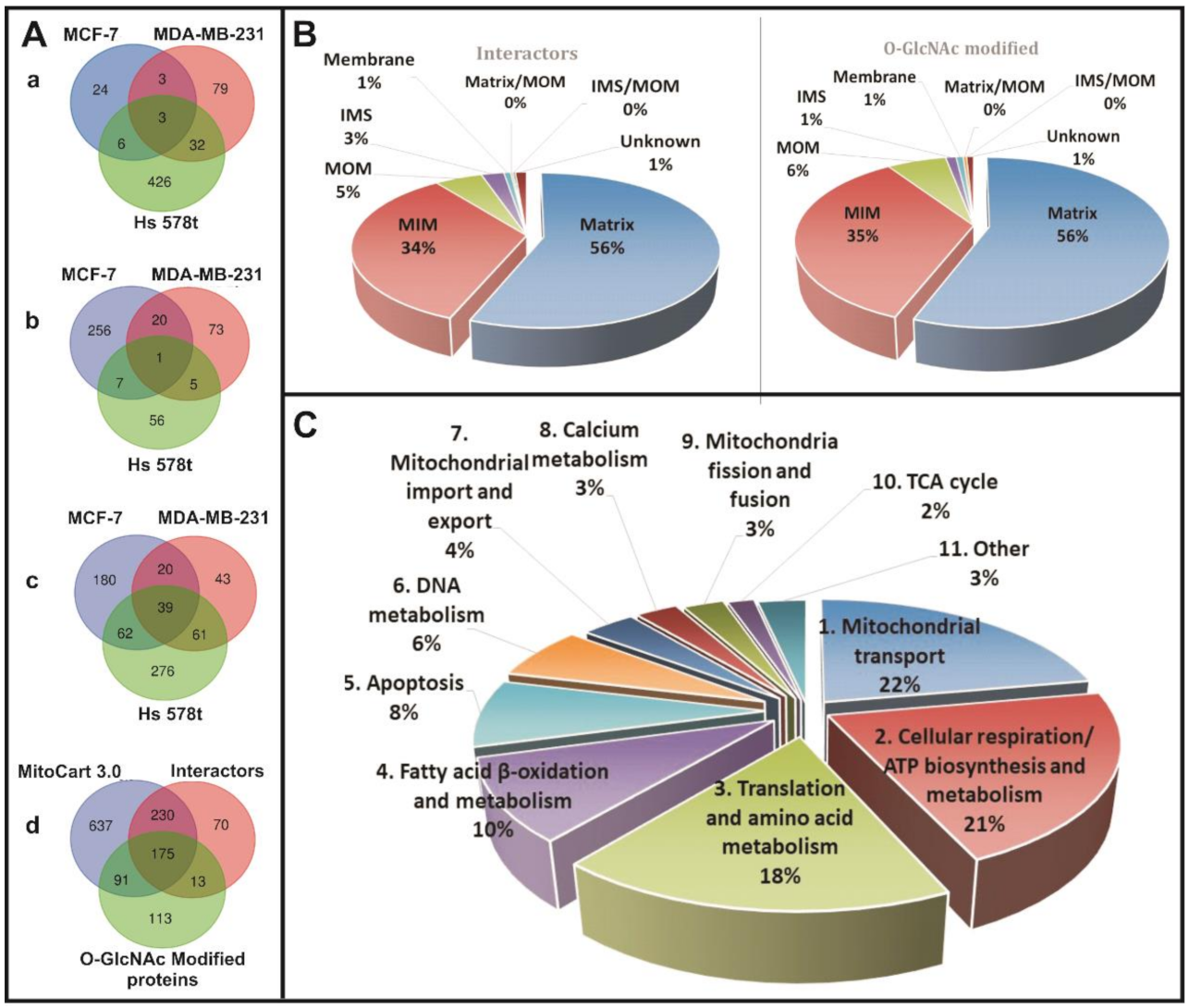 Cancers 13 02956 g005