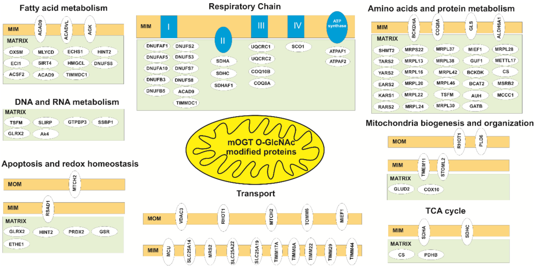 Cancers 13 02956 g006