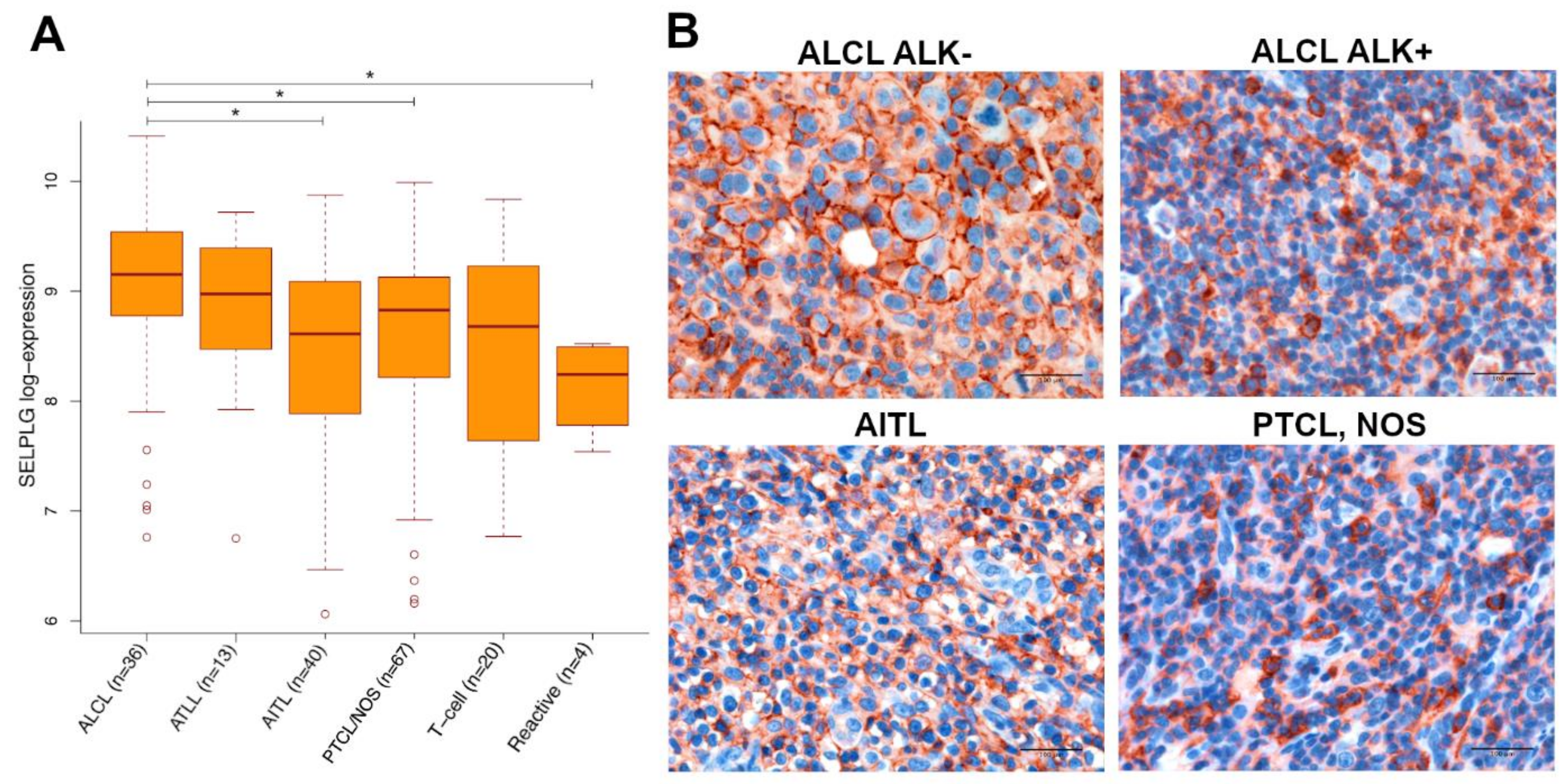 Cancers 13 02958 g001 Cancers 13 02958 g001