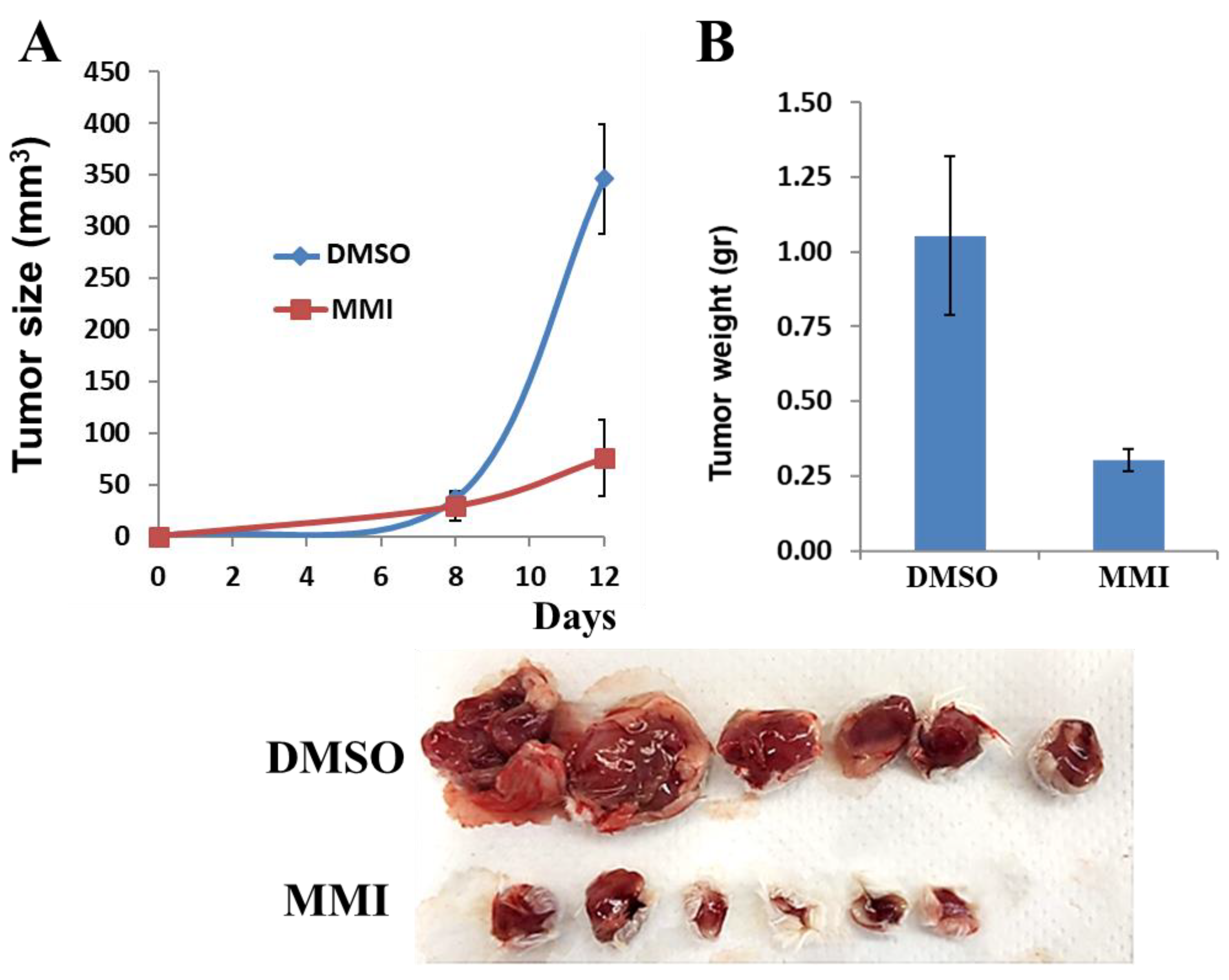 Cancers 13 02959 g005 Cancers 13 02959 g005