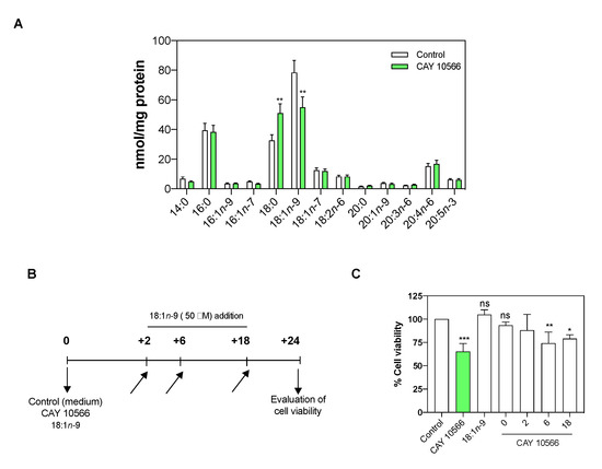 スペイン 〔2017〕 The Hypoxic Microenvironment Induces Stearoyl-CoA Desaturase