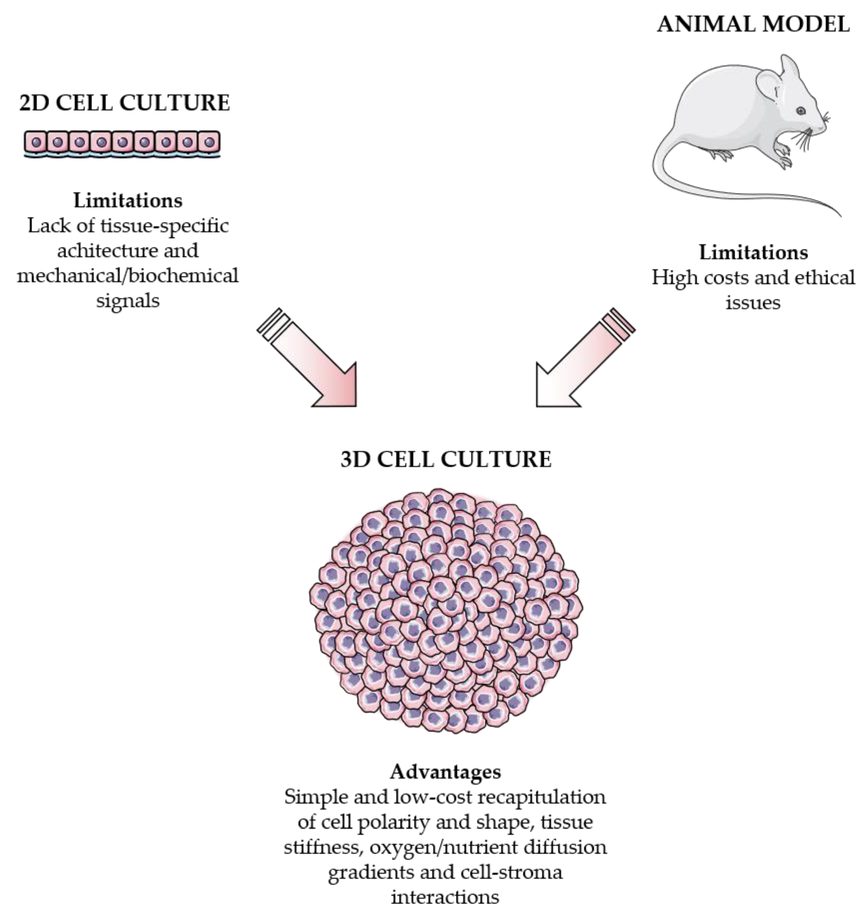 Cancers 13 02970 g001