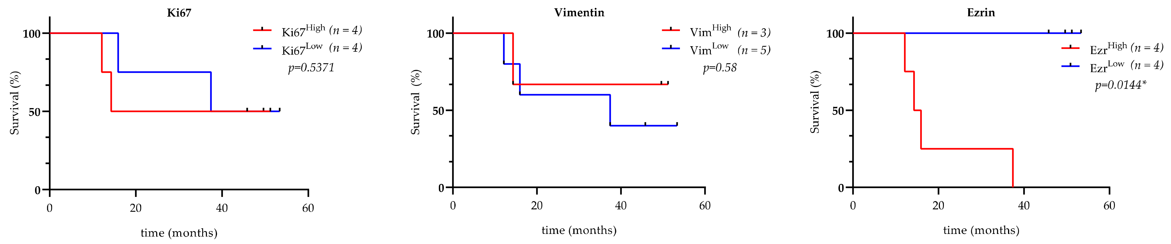 Cancers 13 02980 g008