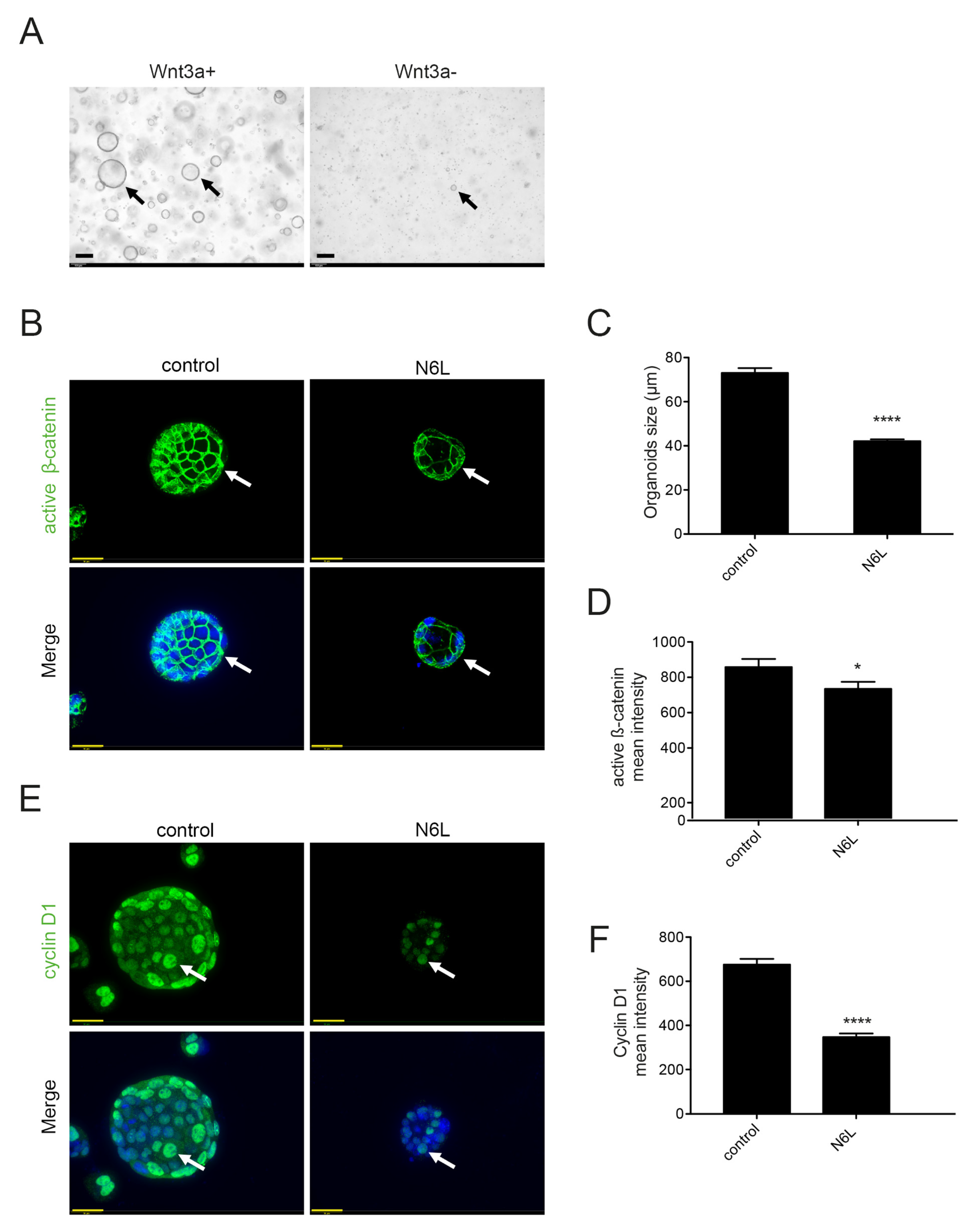 Cancers 13 02986 g005 Cancers 13 02986 g005